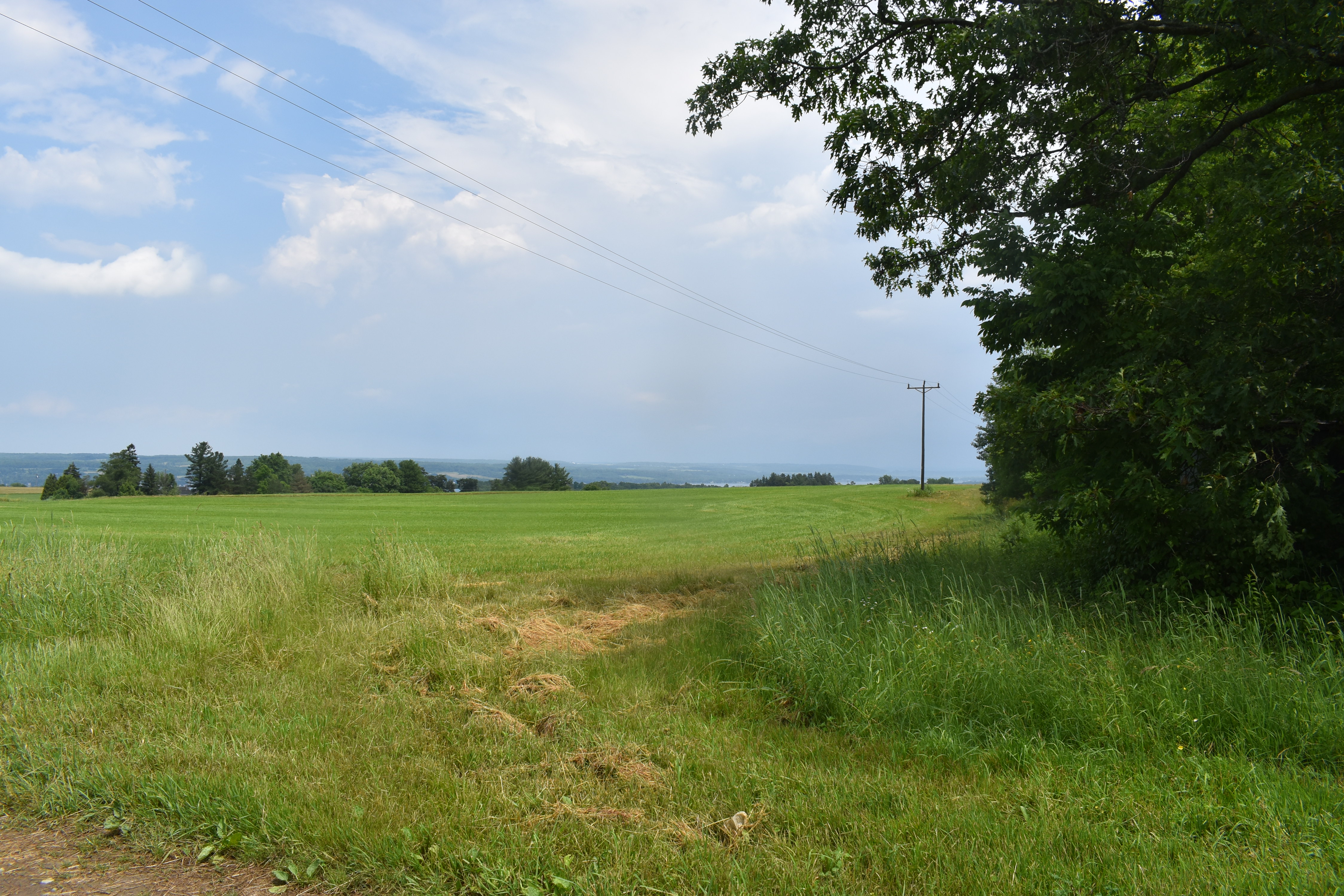 Listing Image 89