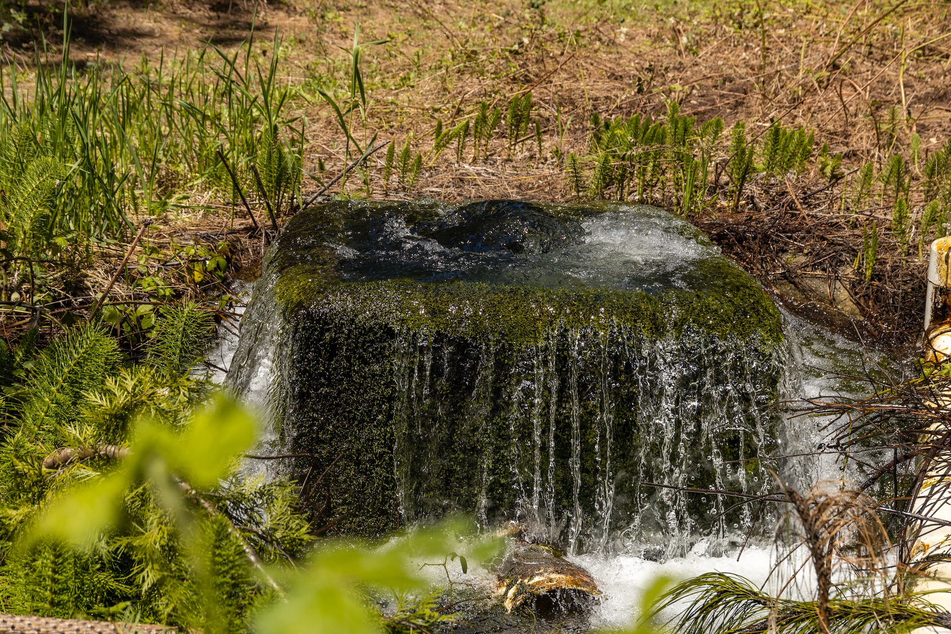 Hayes Springs Ranch
