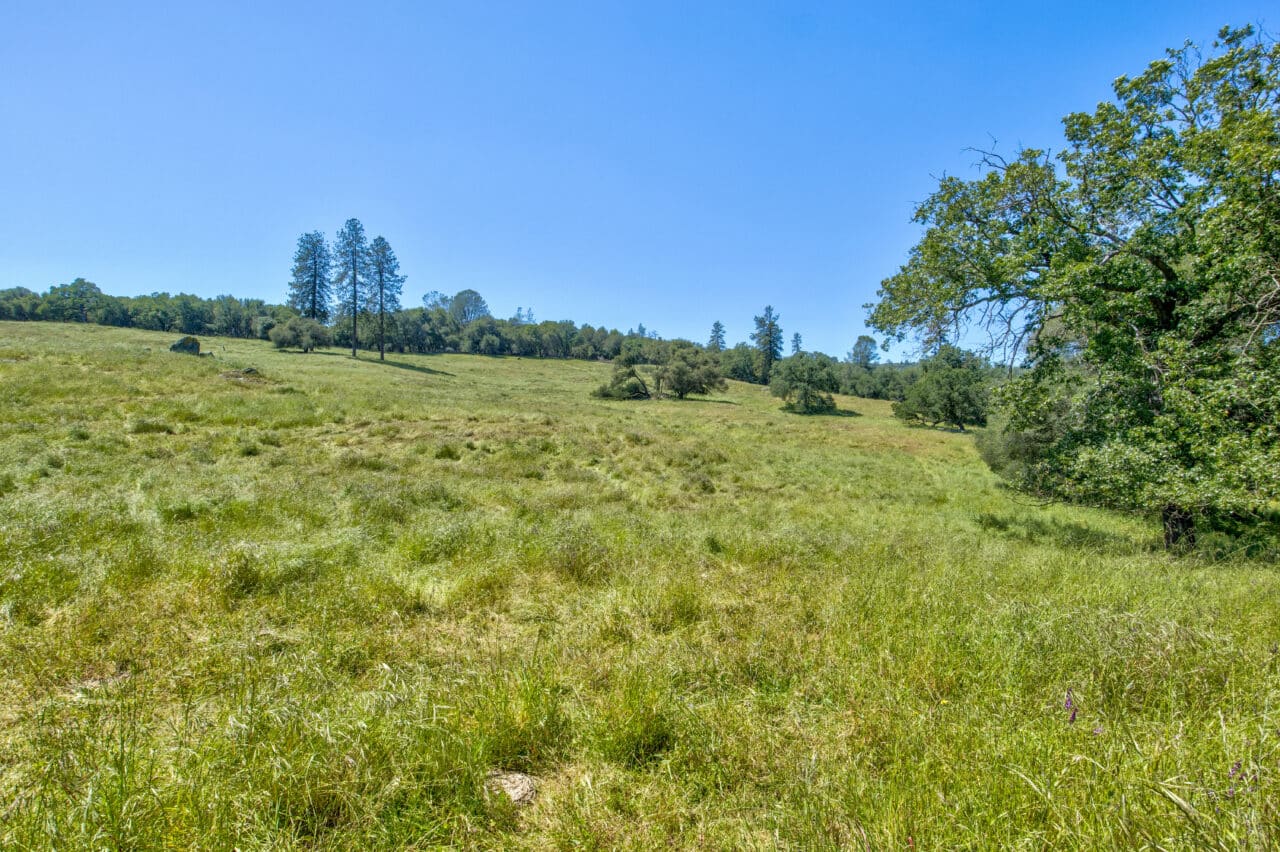 Listing Image 65