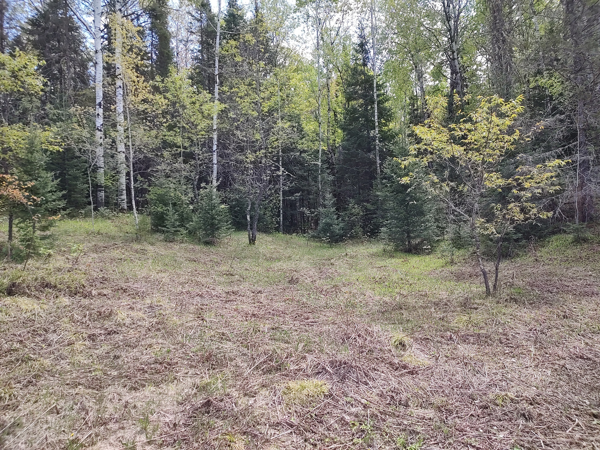 160 Acre Wilderness Retreat 50175391