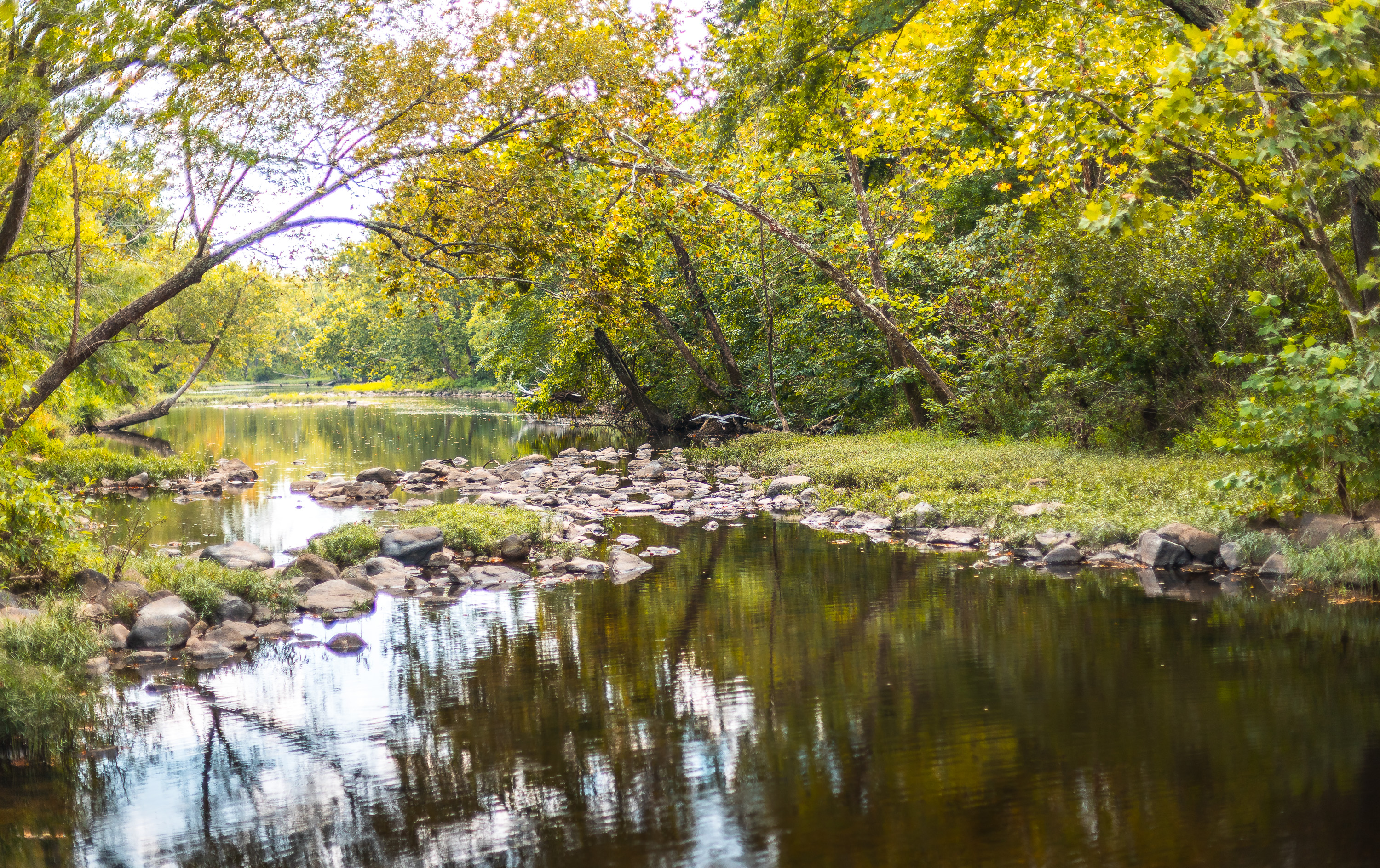 420 Acre Farm on Stouts Creek