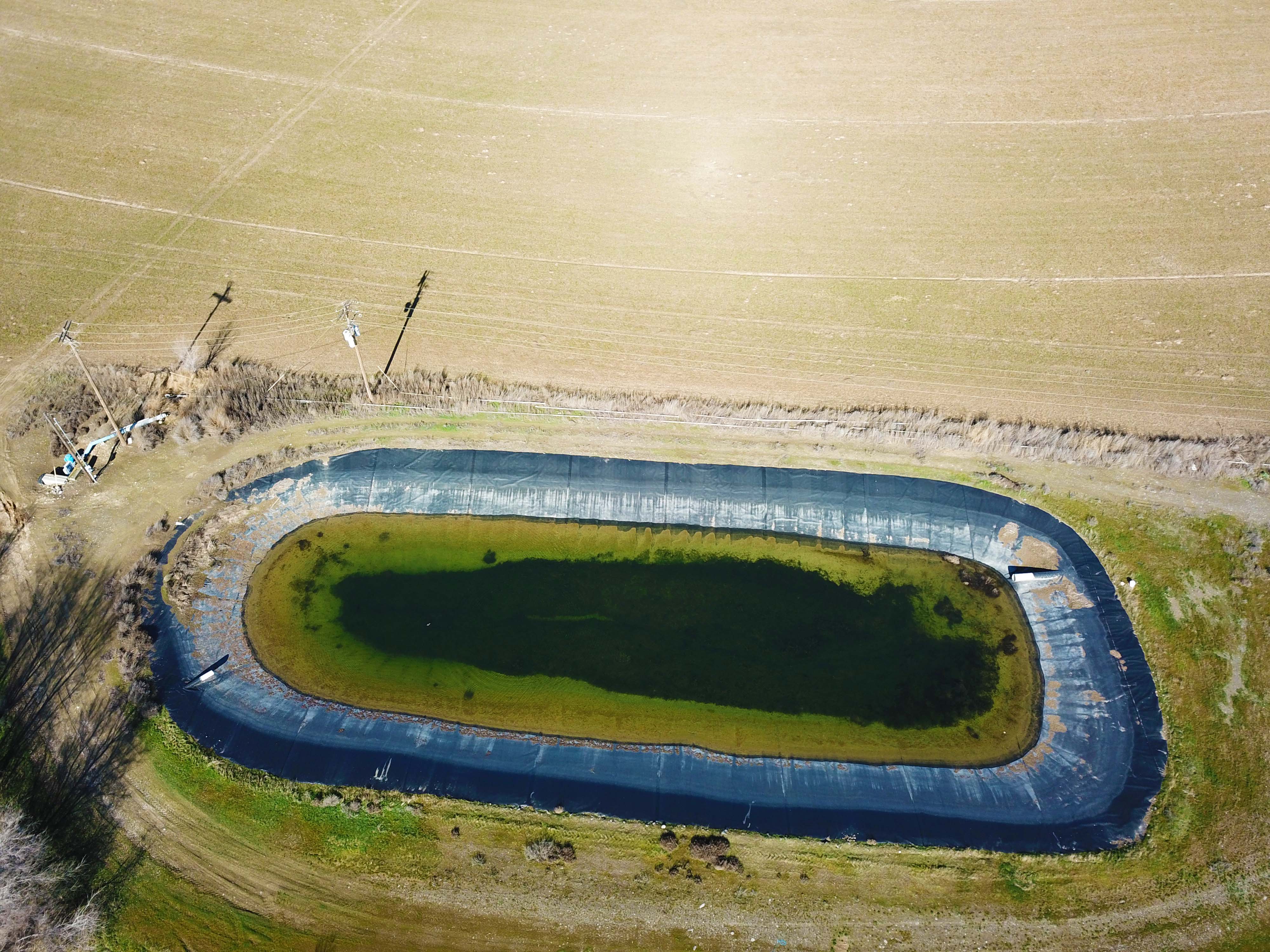 Fern Road Irrigated farm