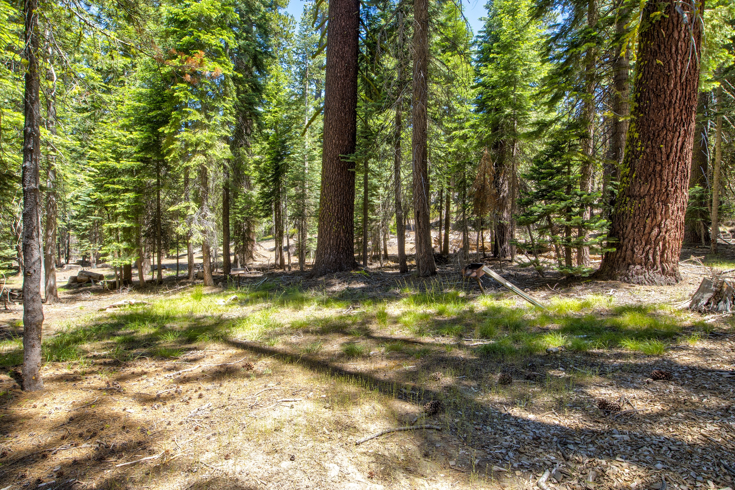 Listing Image 52