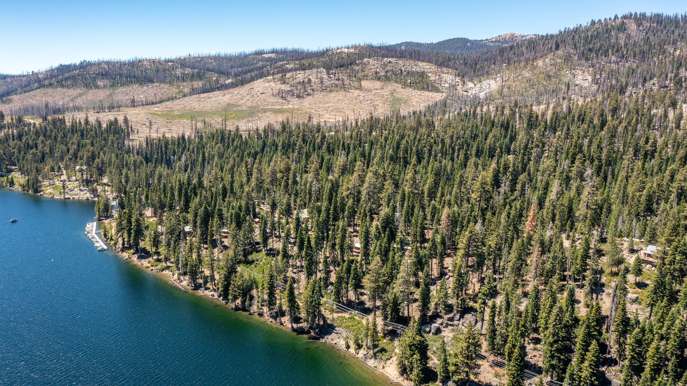 Listing Image 95