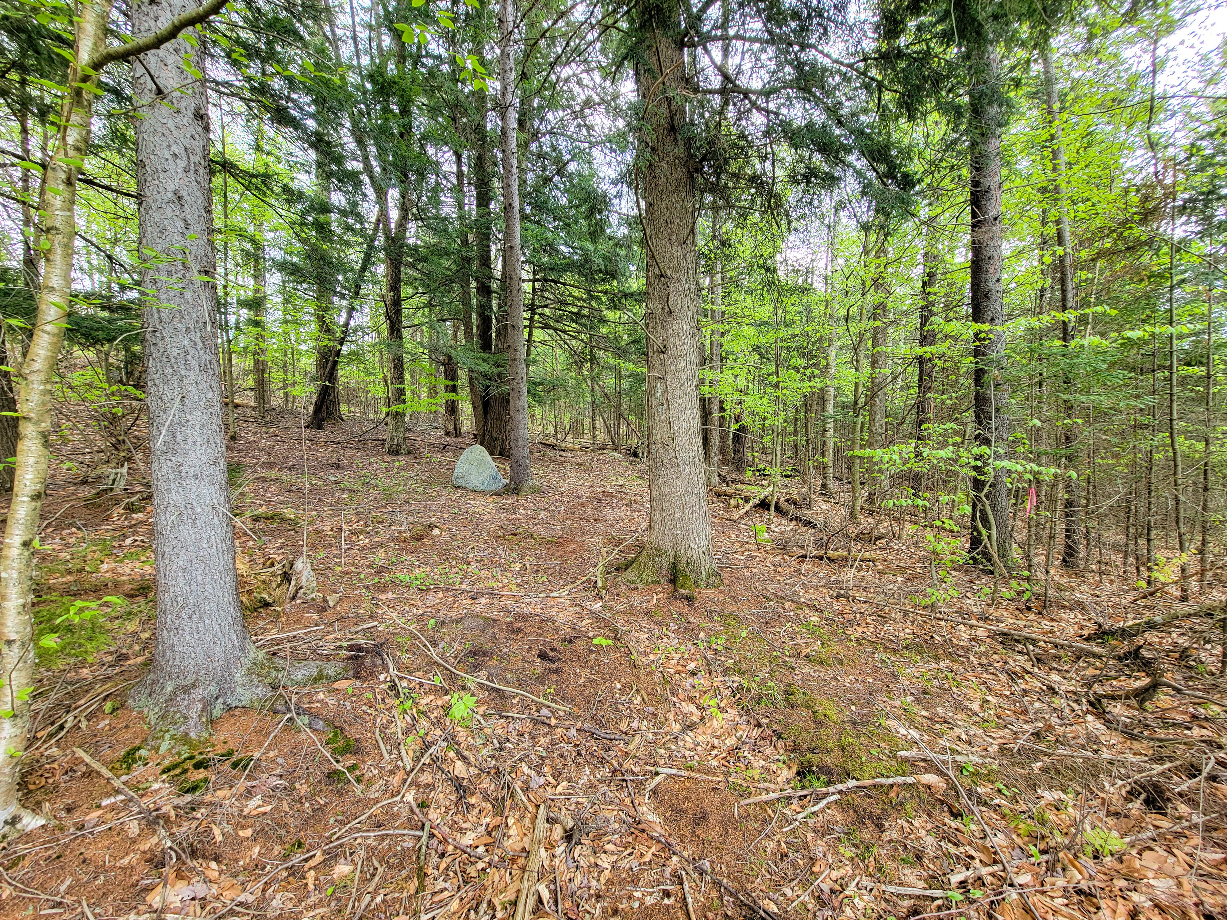 Listing Image 38