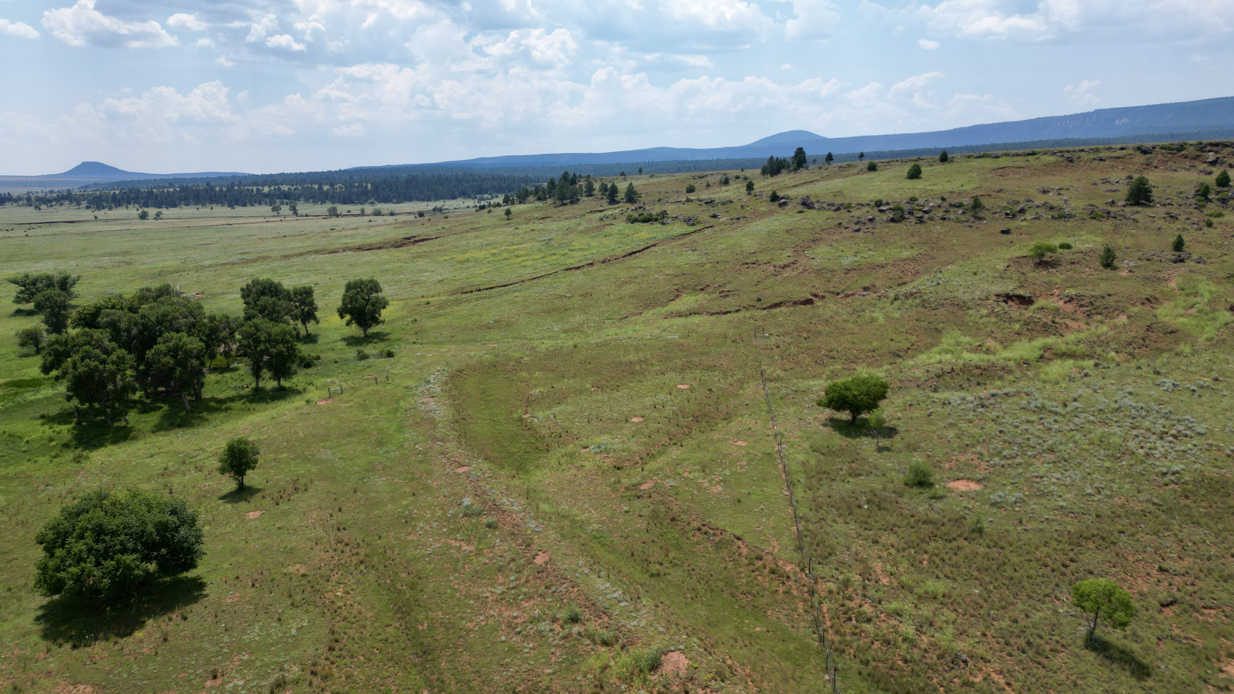 OLC Ranch