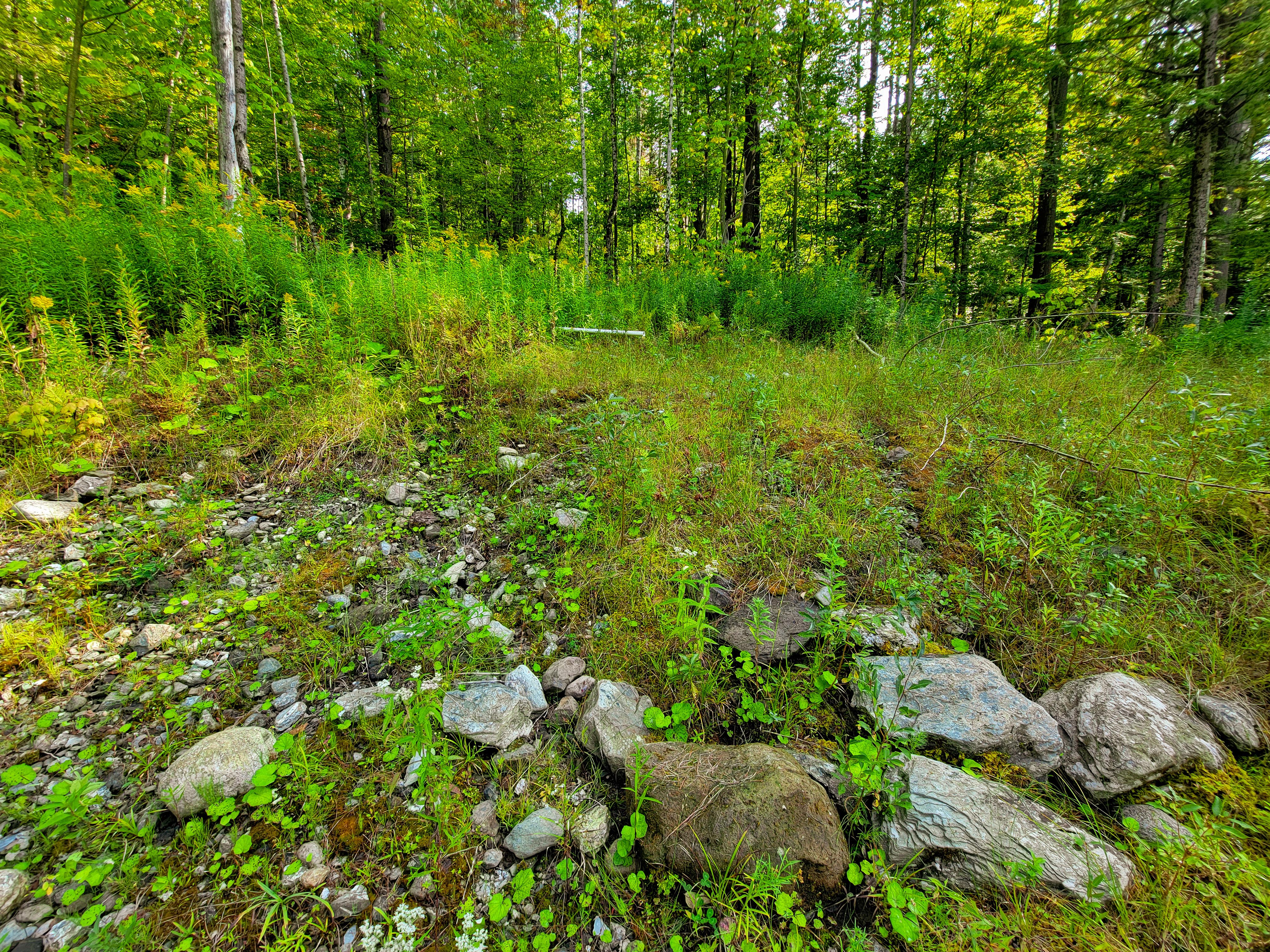 Listing Image 30