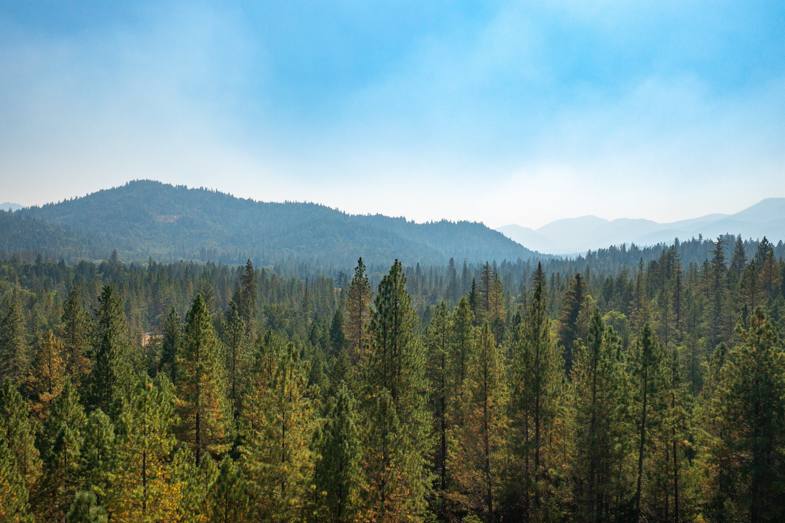 Pleasant Creek Road TL301