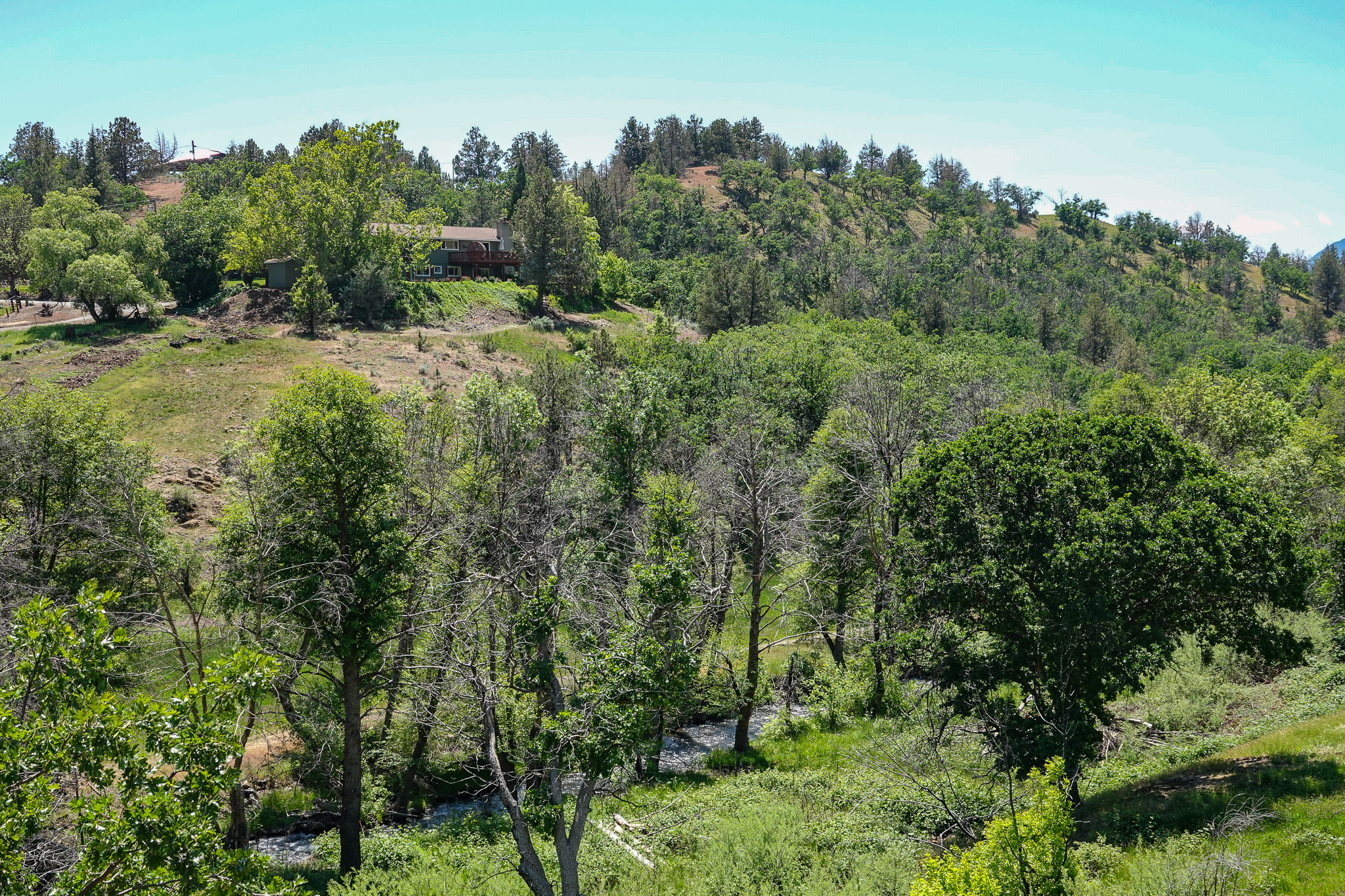 MJ Ranch