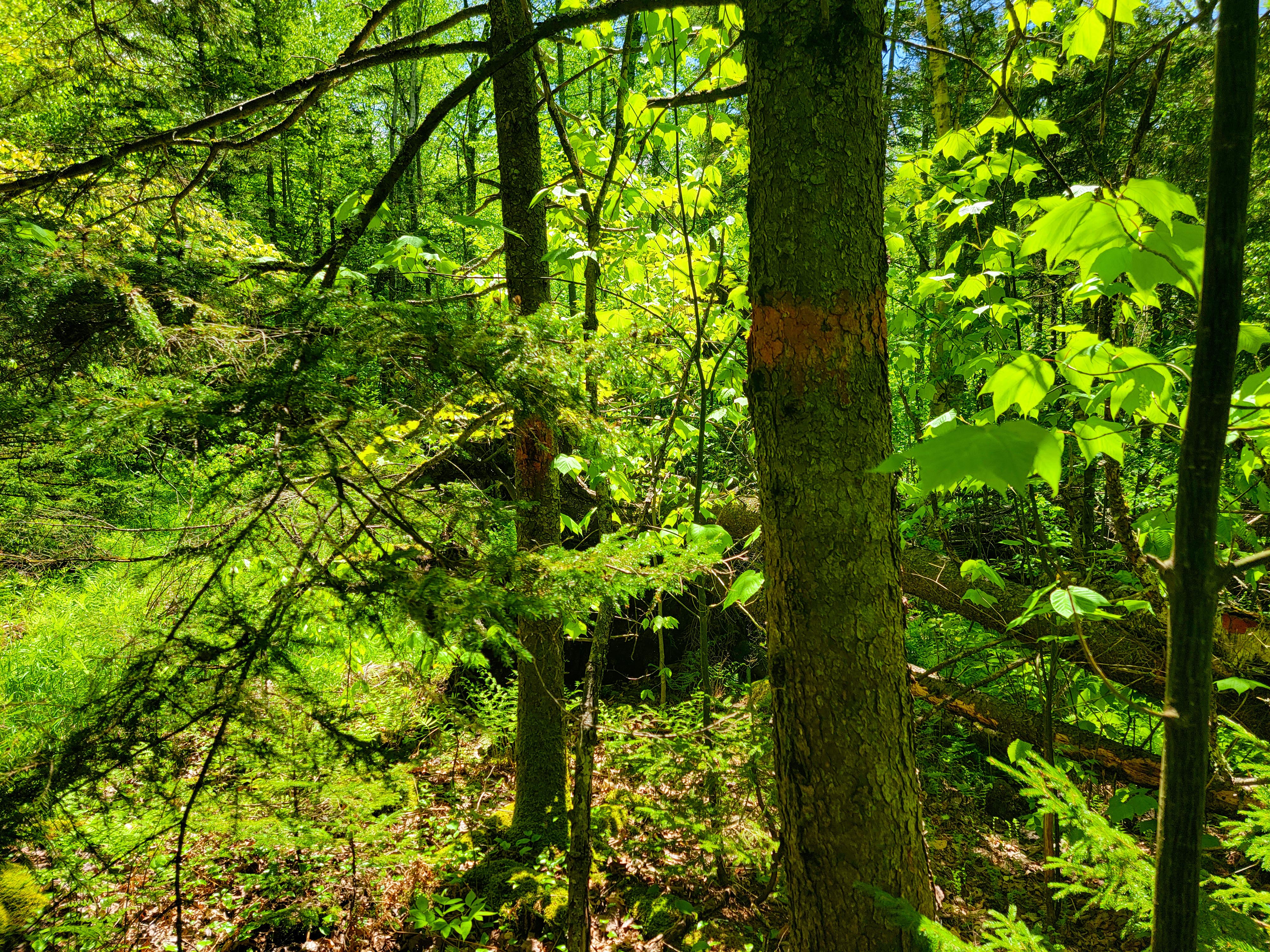 925 Hathaway Rd - Goshen