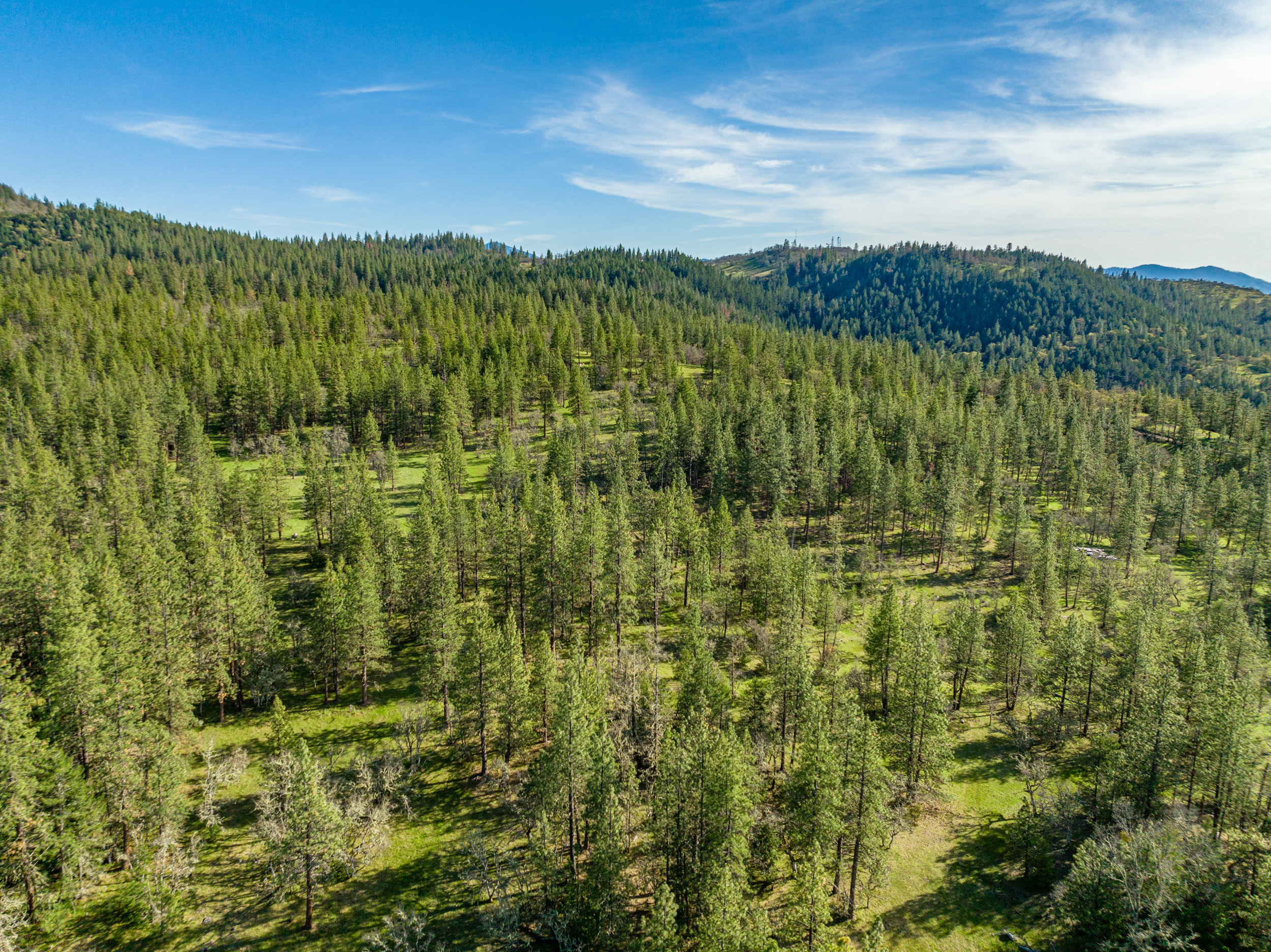 Mount Baldy Ranch