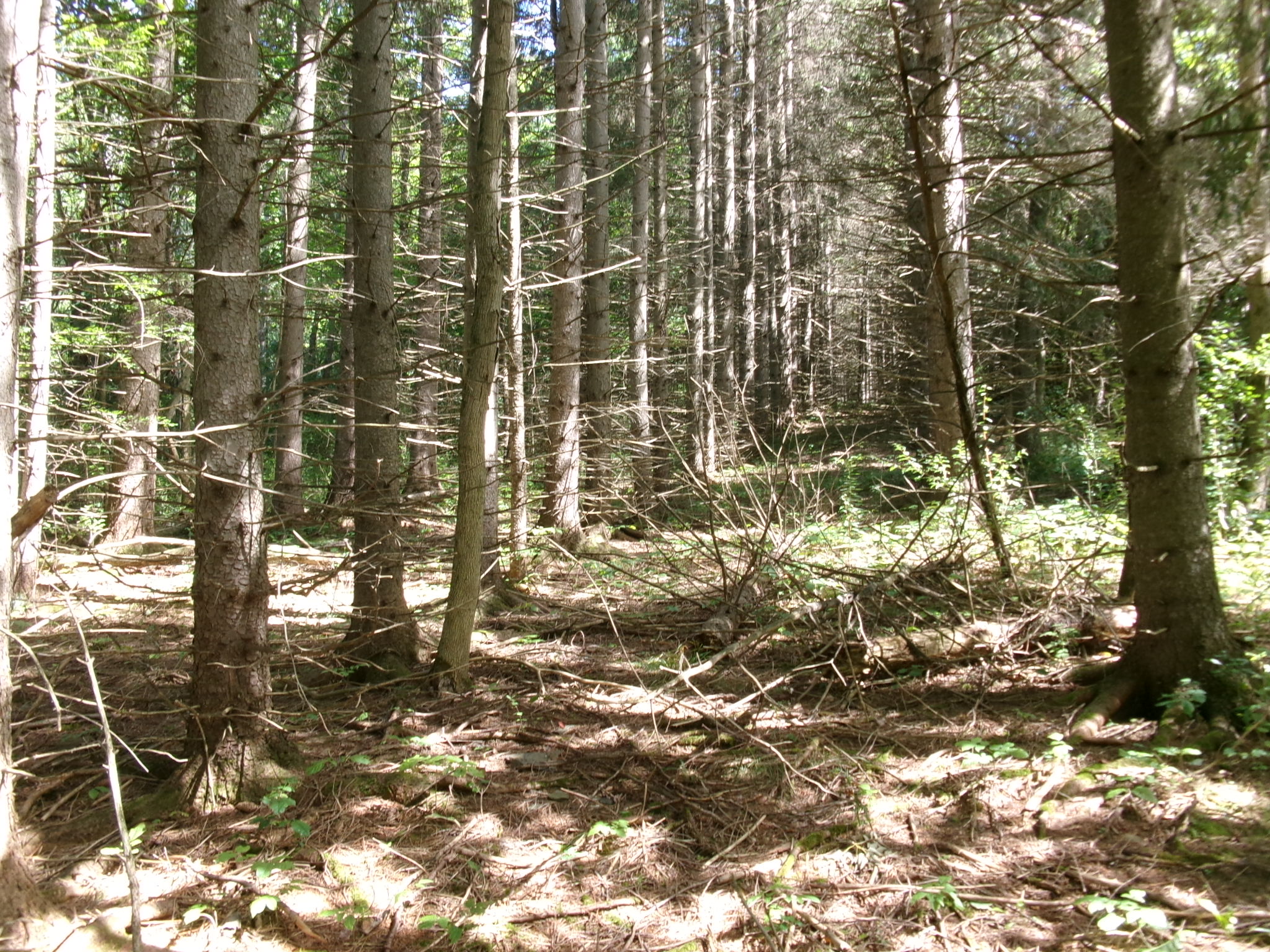 Listing Image 21