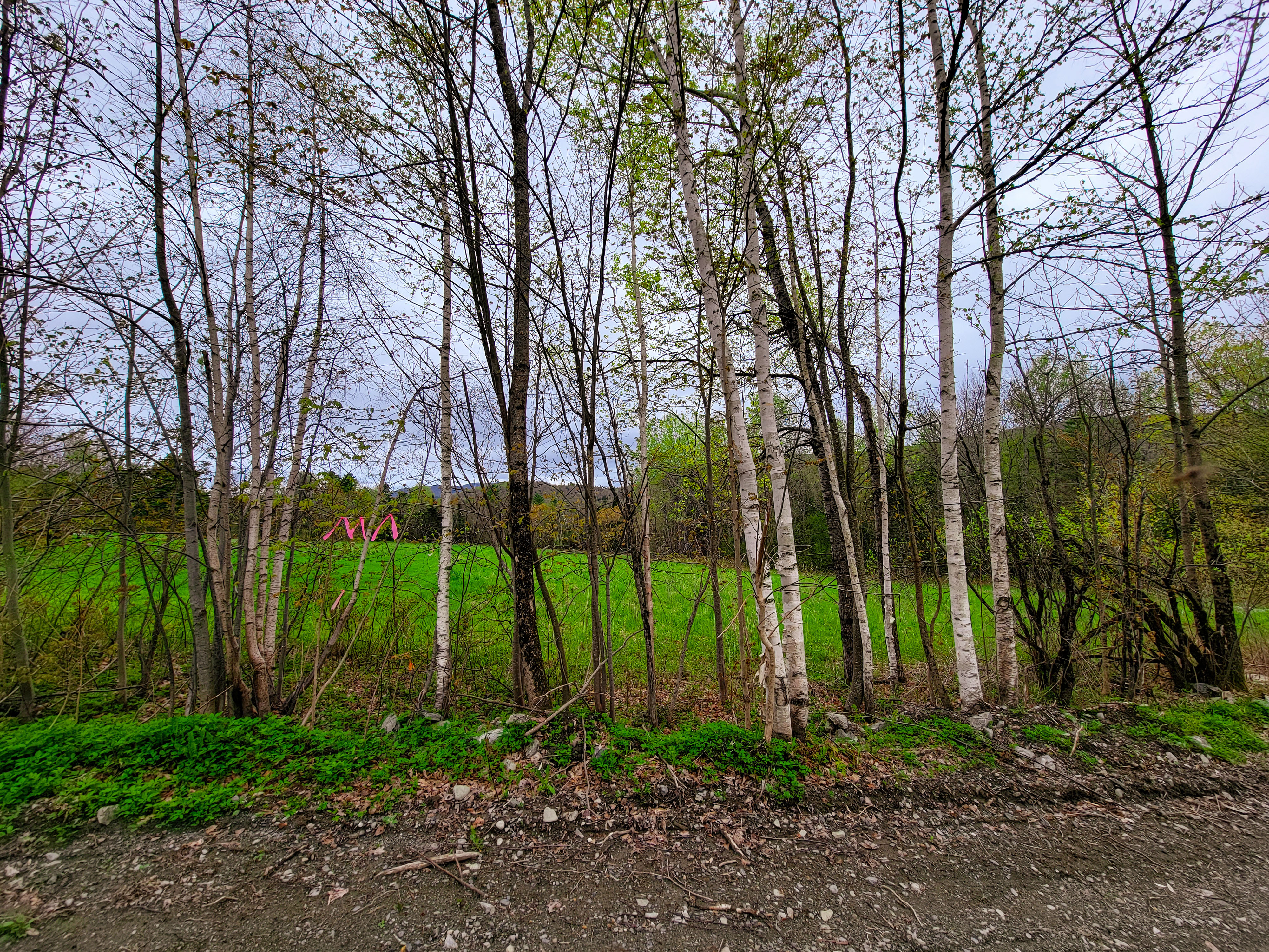 855 Campbell Rd - Waterford