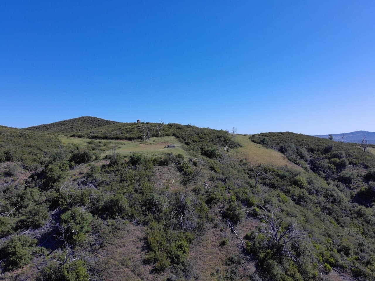 Listing Image 41