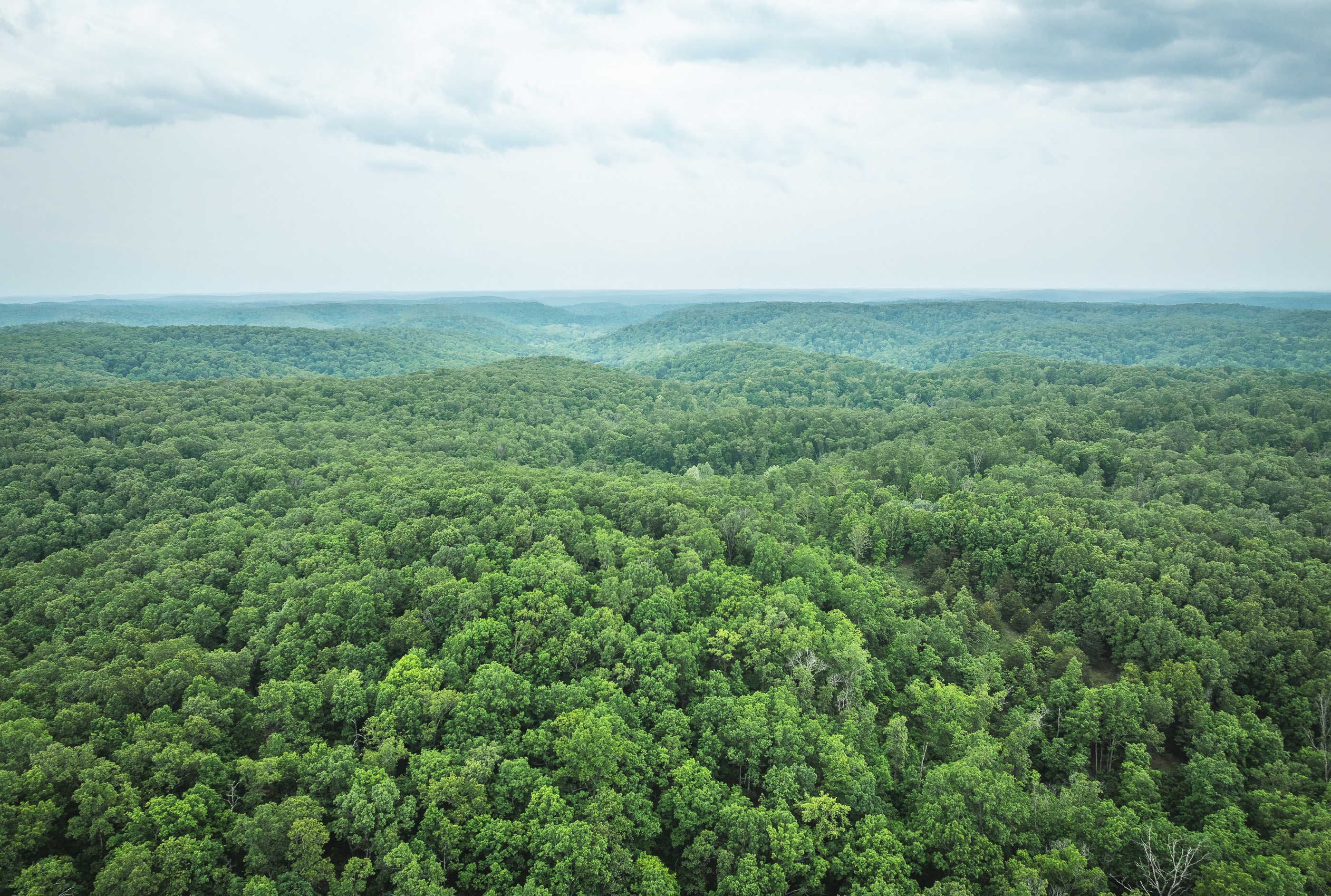Pine Hollow Sportsmen
