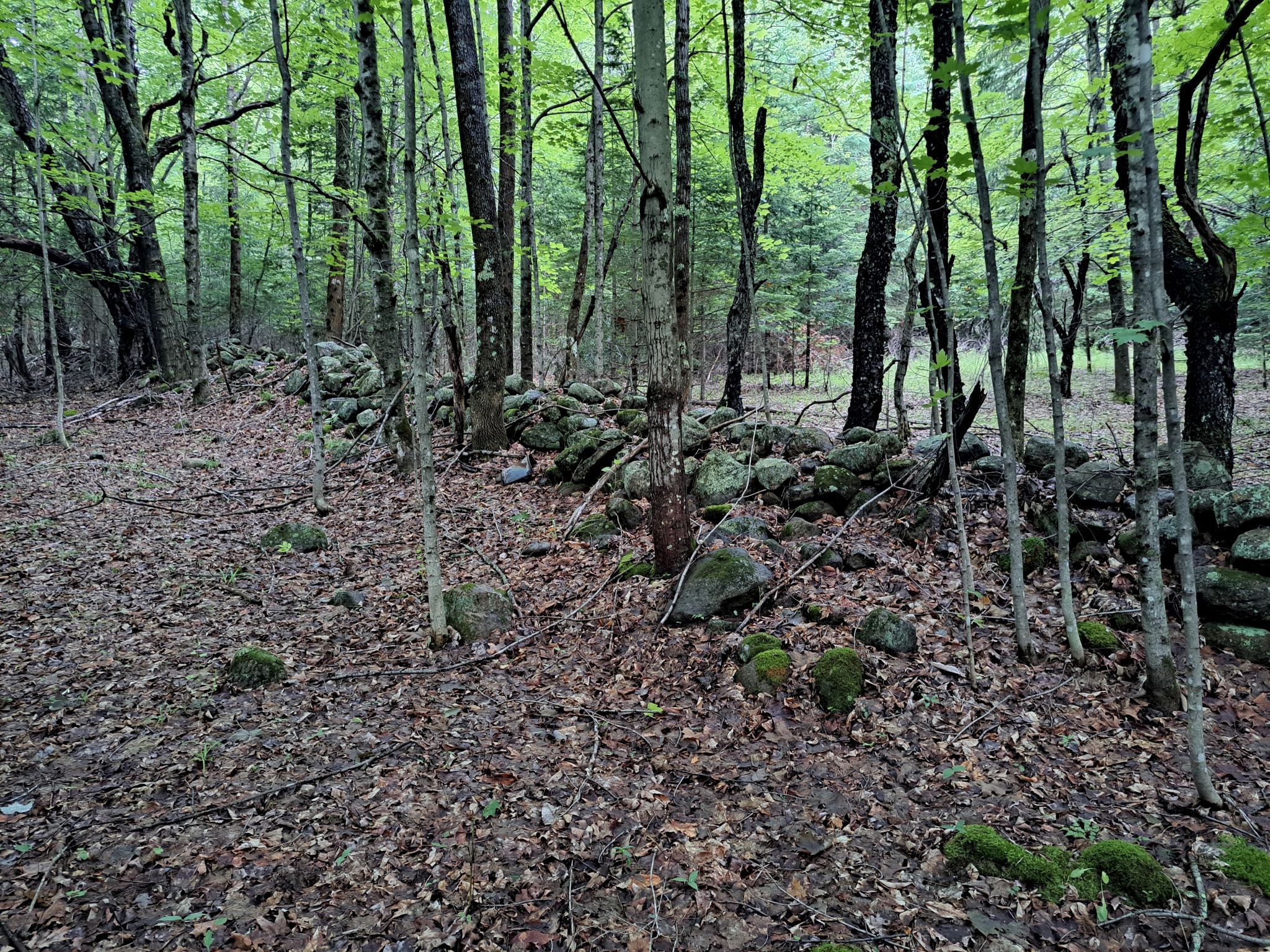 Listing Image 94