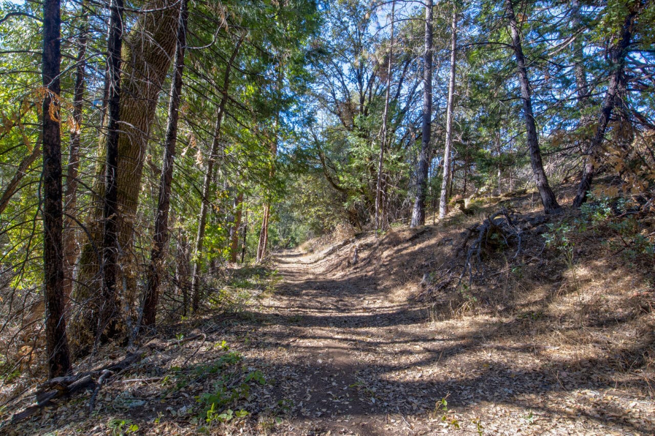 Listing Image 45