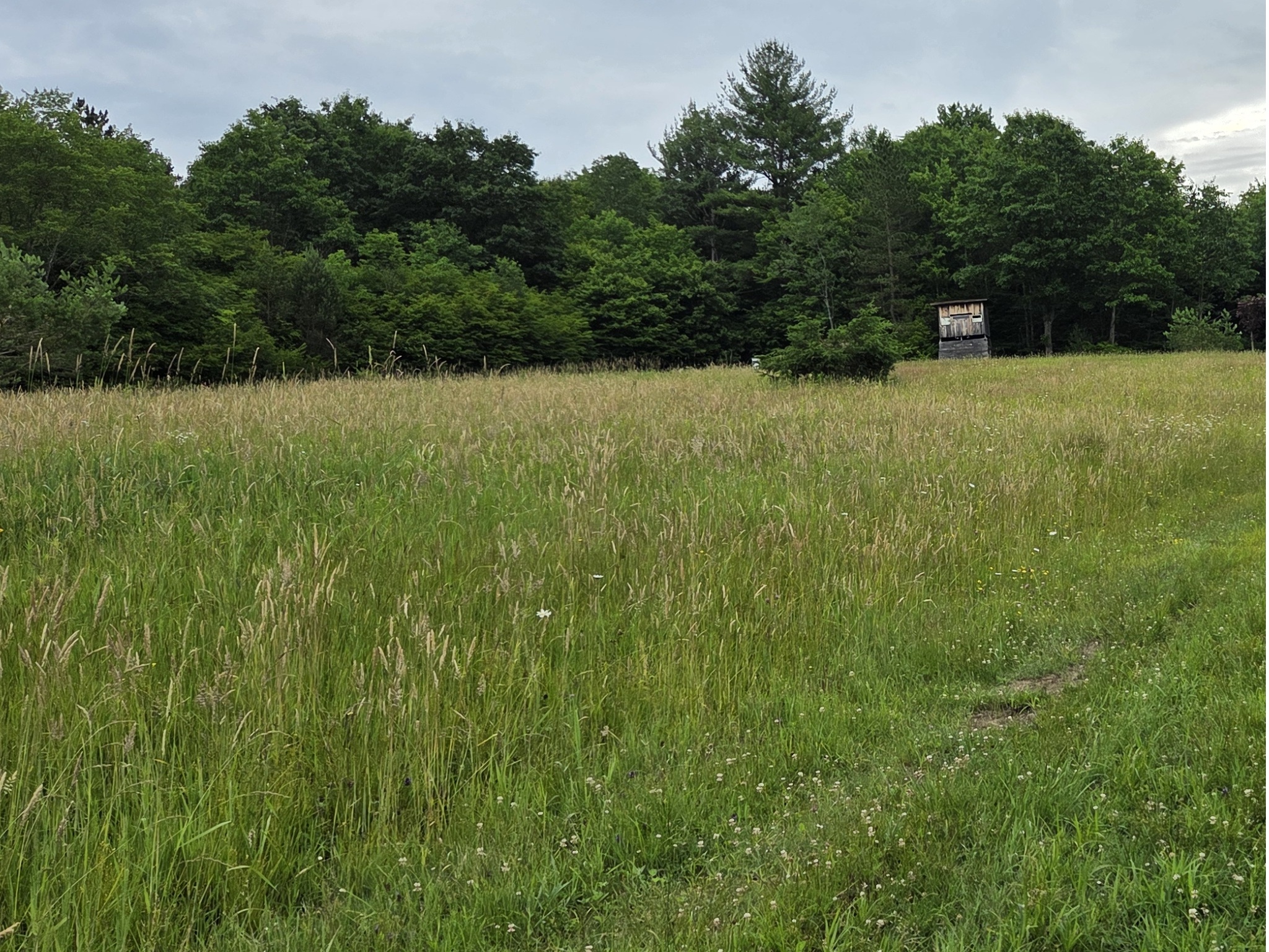 Listing Image 40