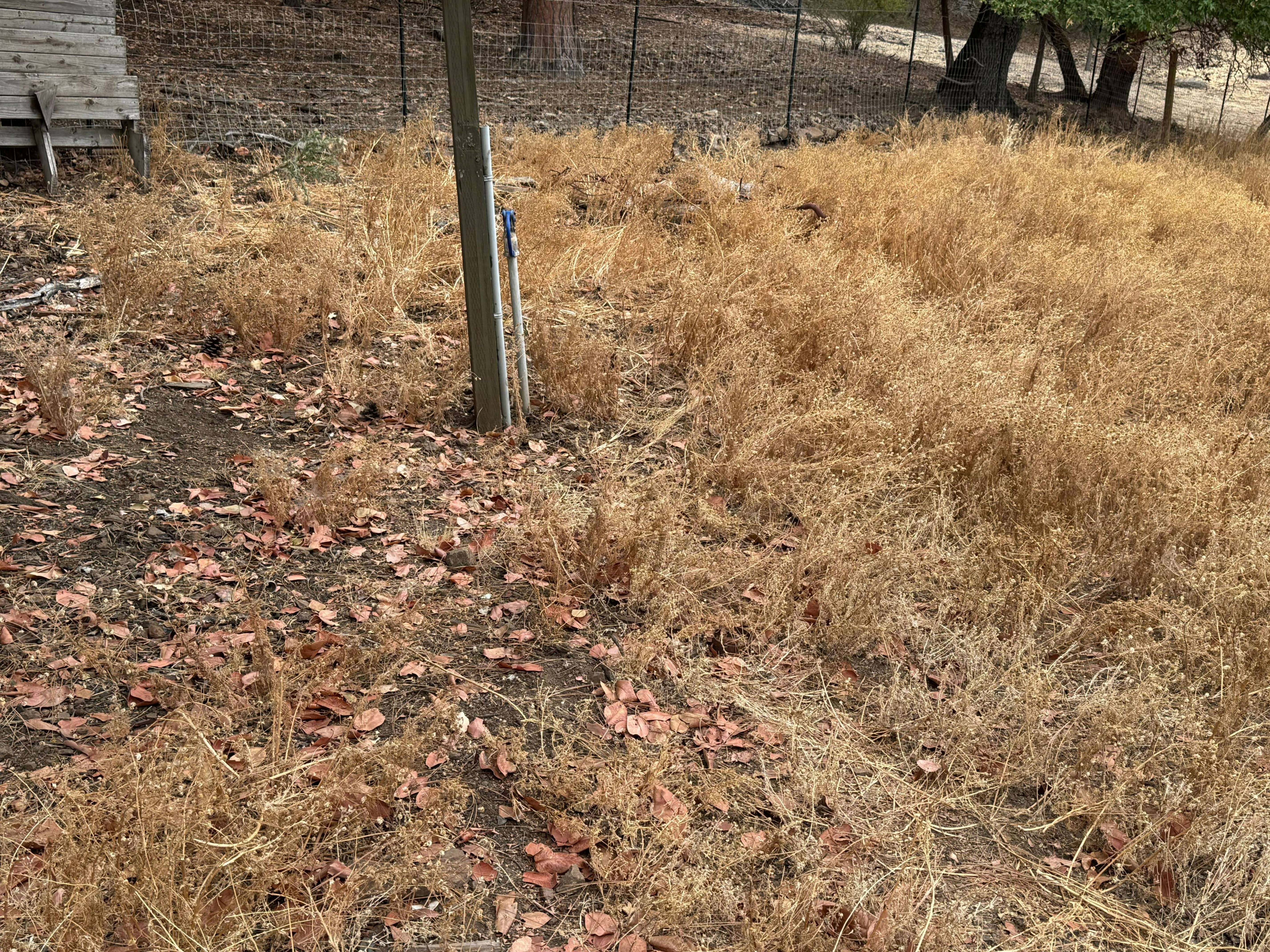 Listing Image 17