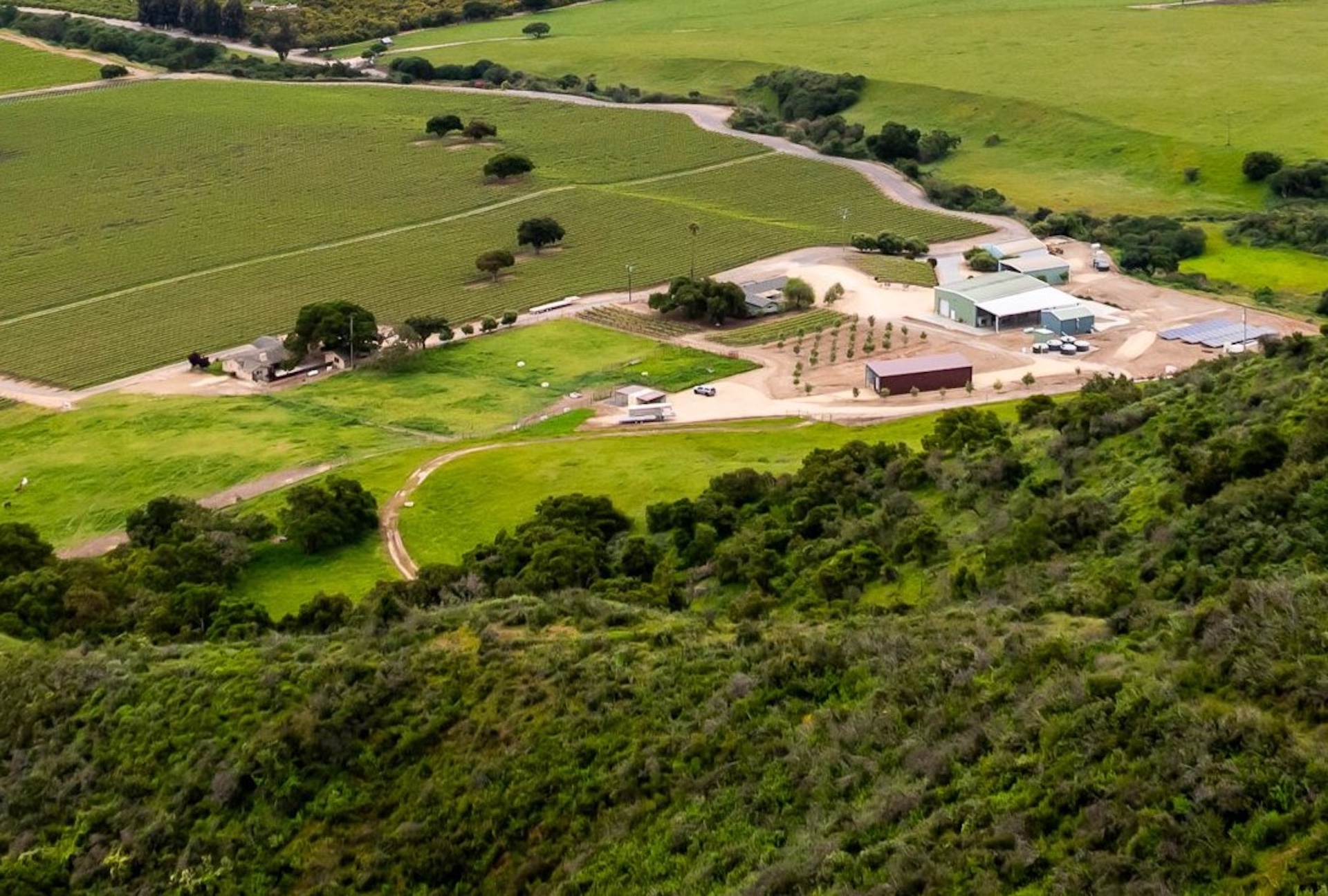 Boekenoogen Santa Lucia Highlands Vineyard