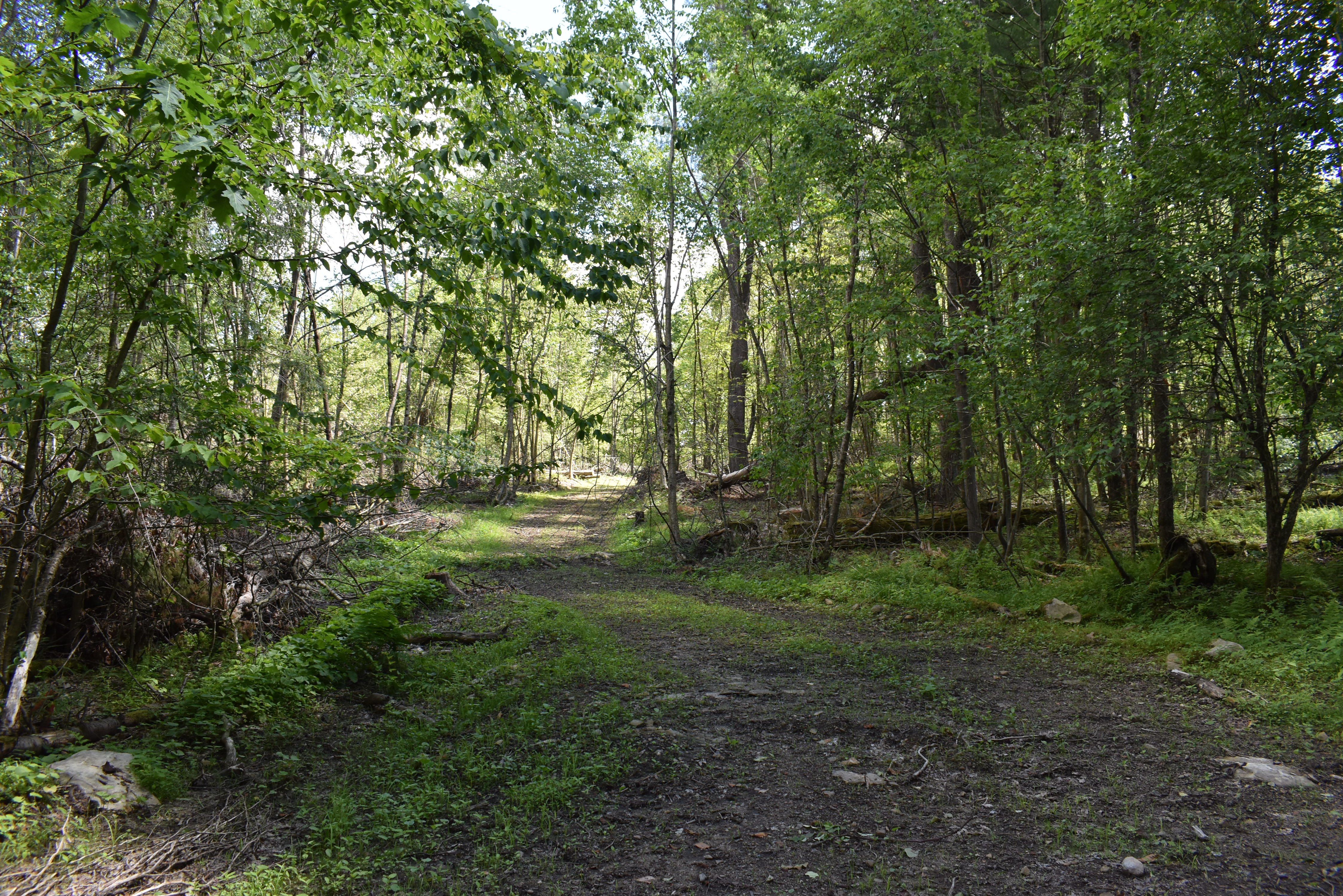 Listing Image 32