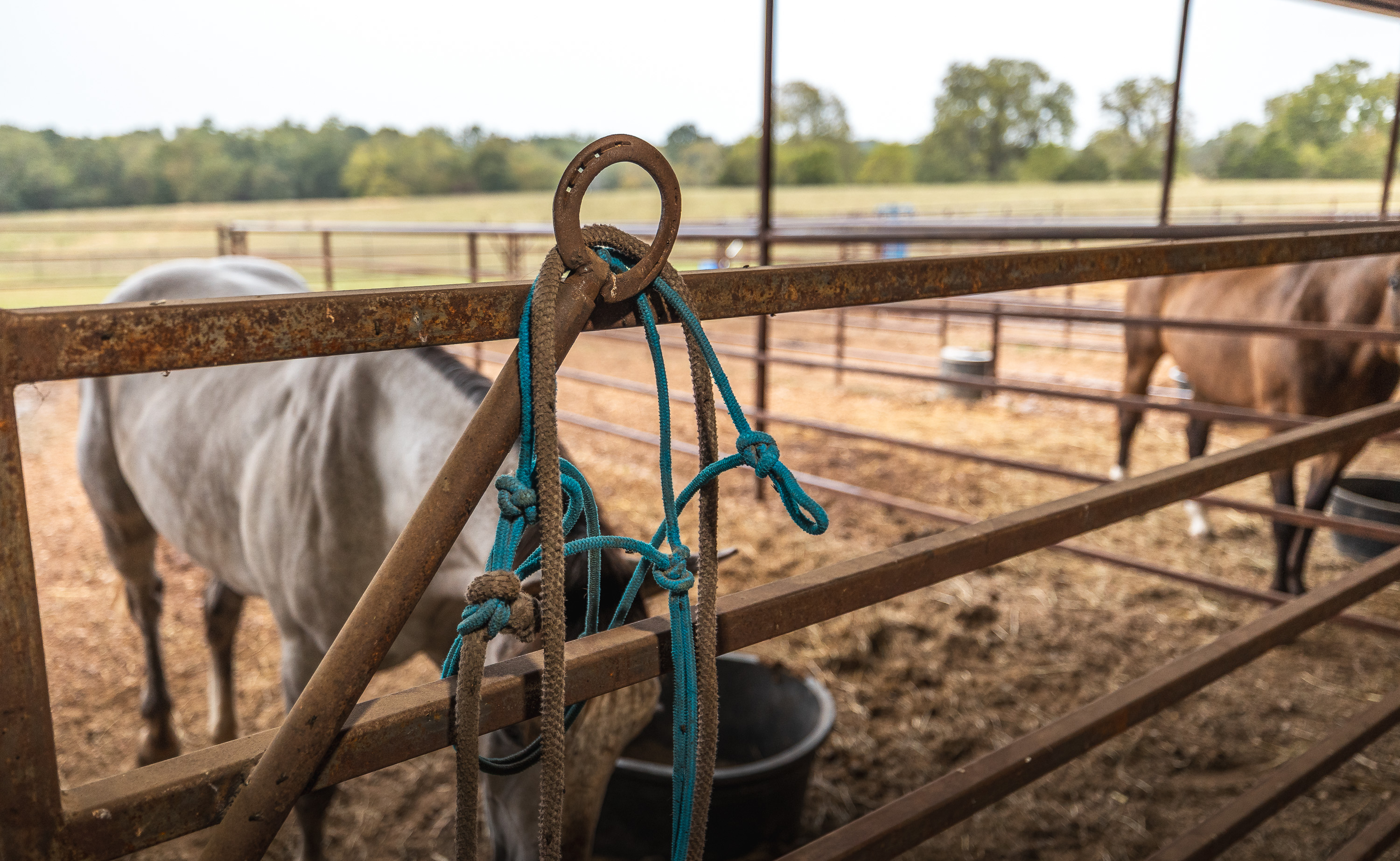 Twin Creek Farm