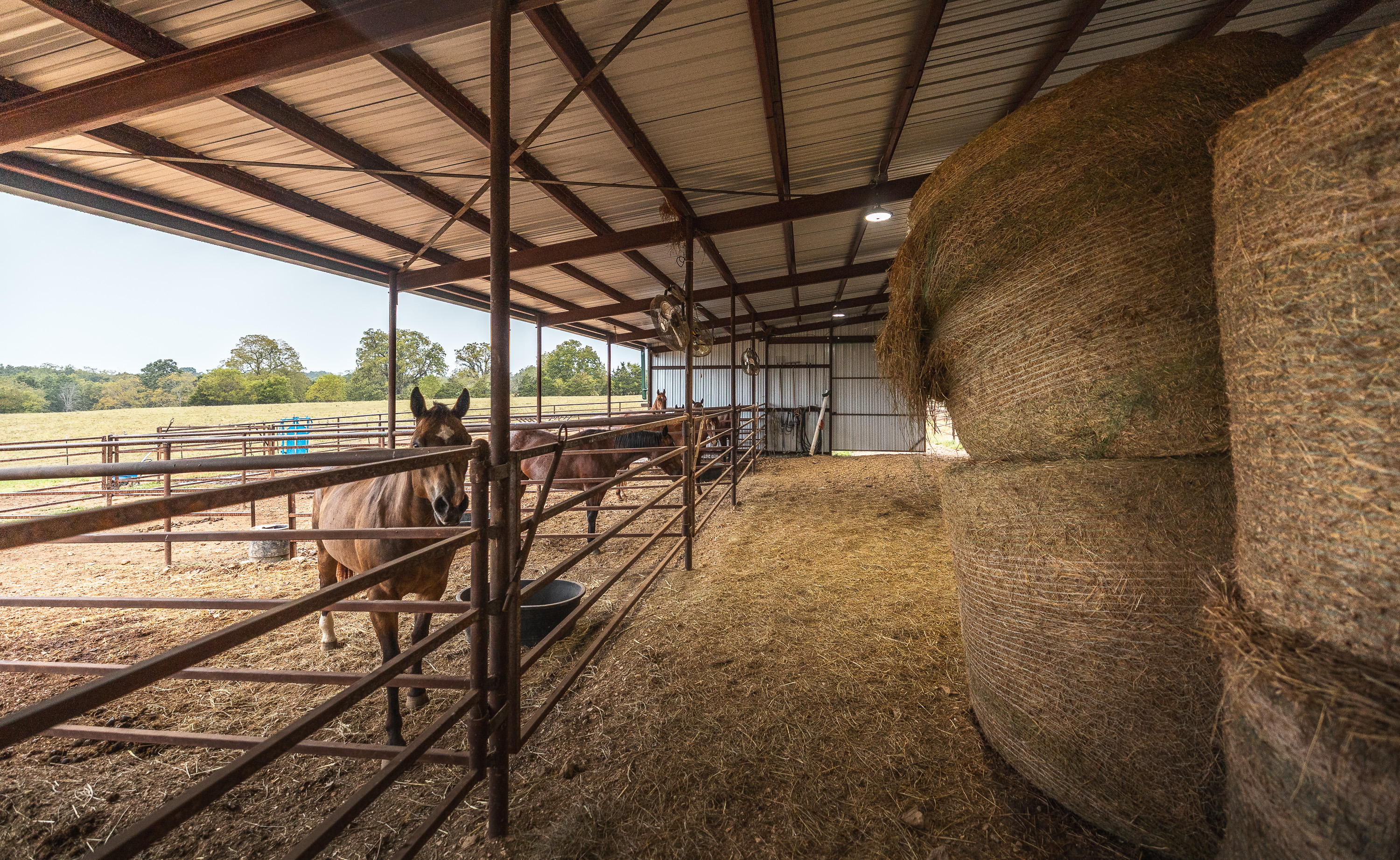Twin Creek Farm