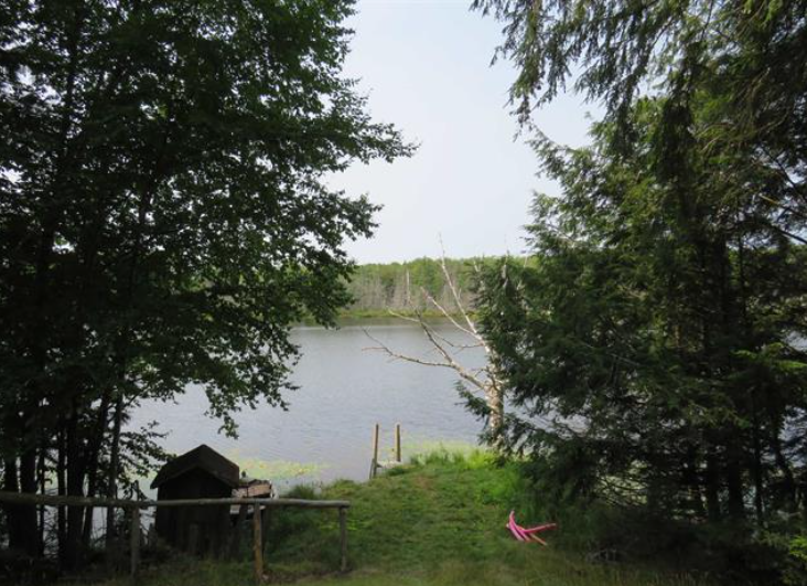 Listing Image 31