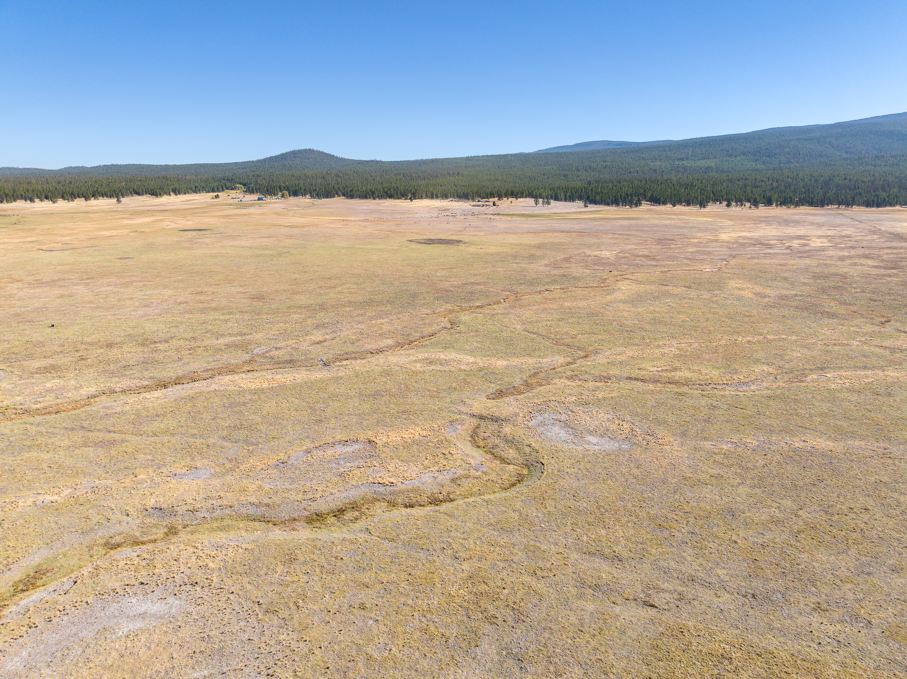 Listing Image 81