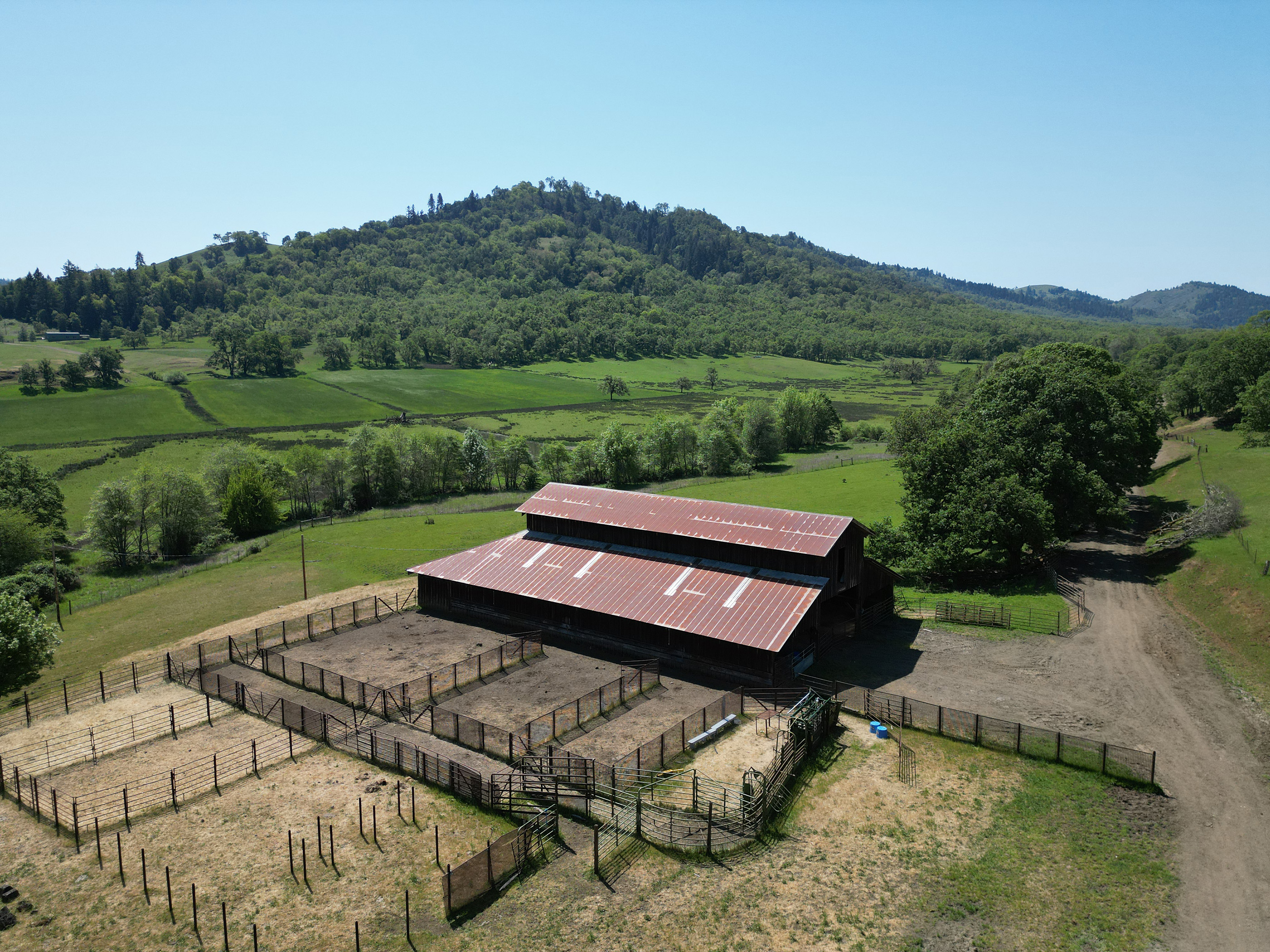 Listing Image 40