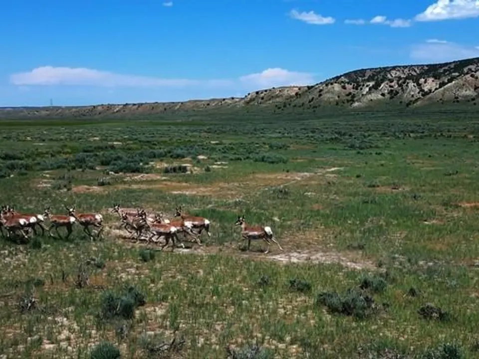 Maybell Grazing & Big Game Ranch
