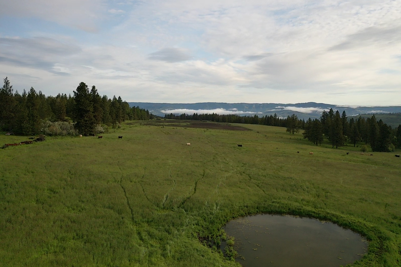 Buford Ridge Ranch