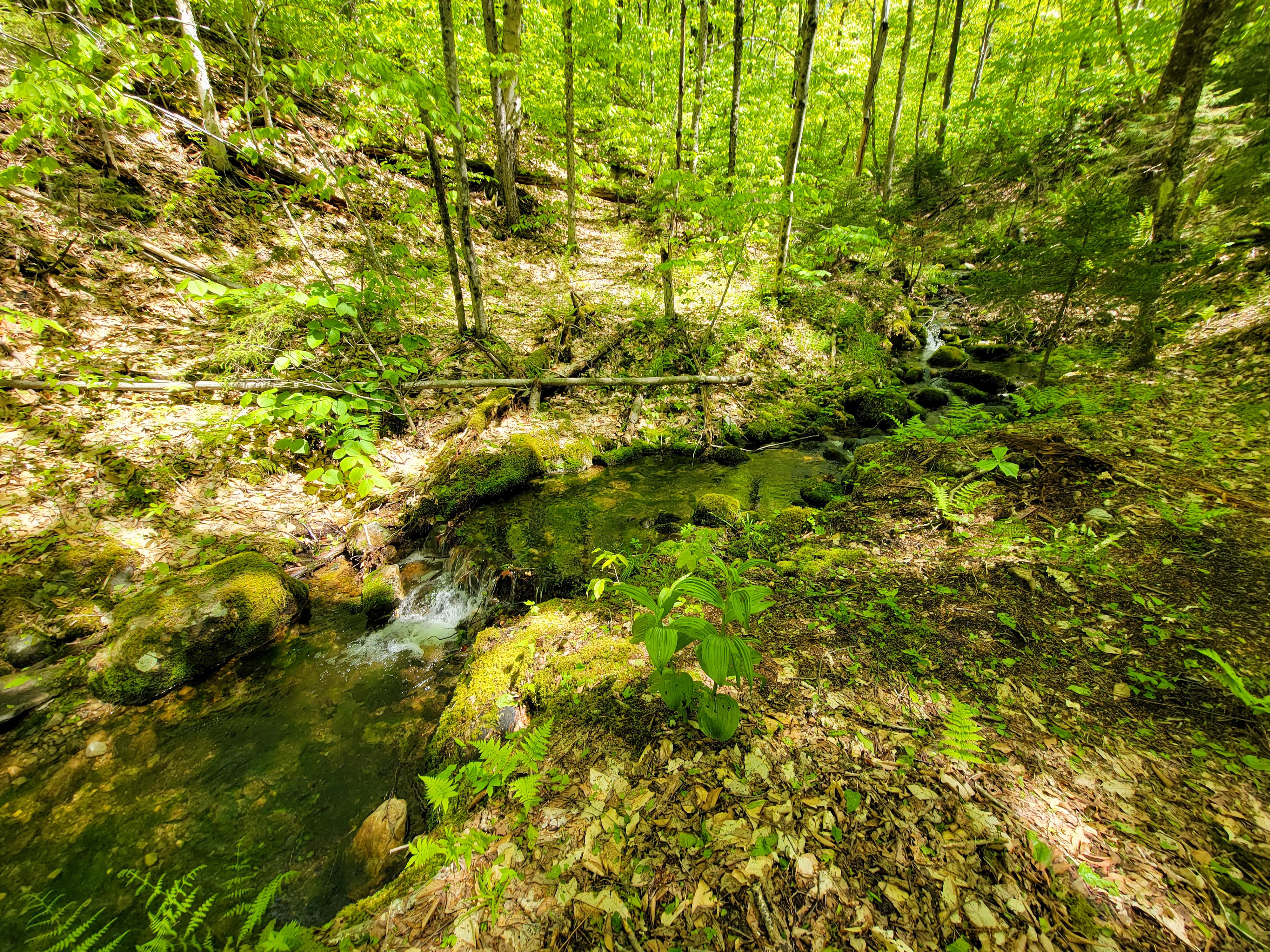925 Hathaway Rd - Goshen