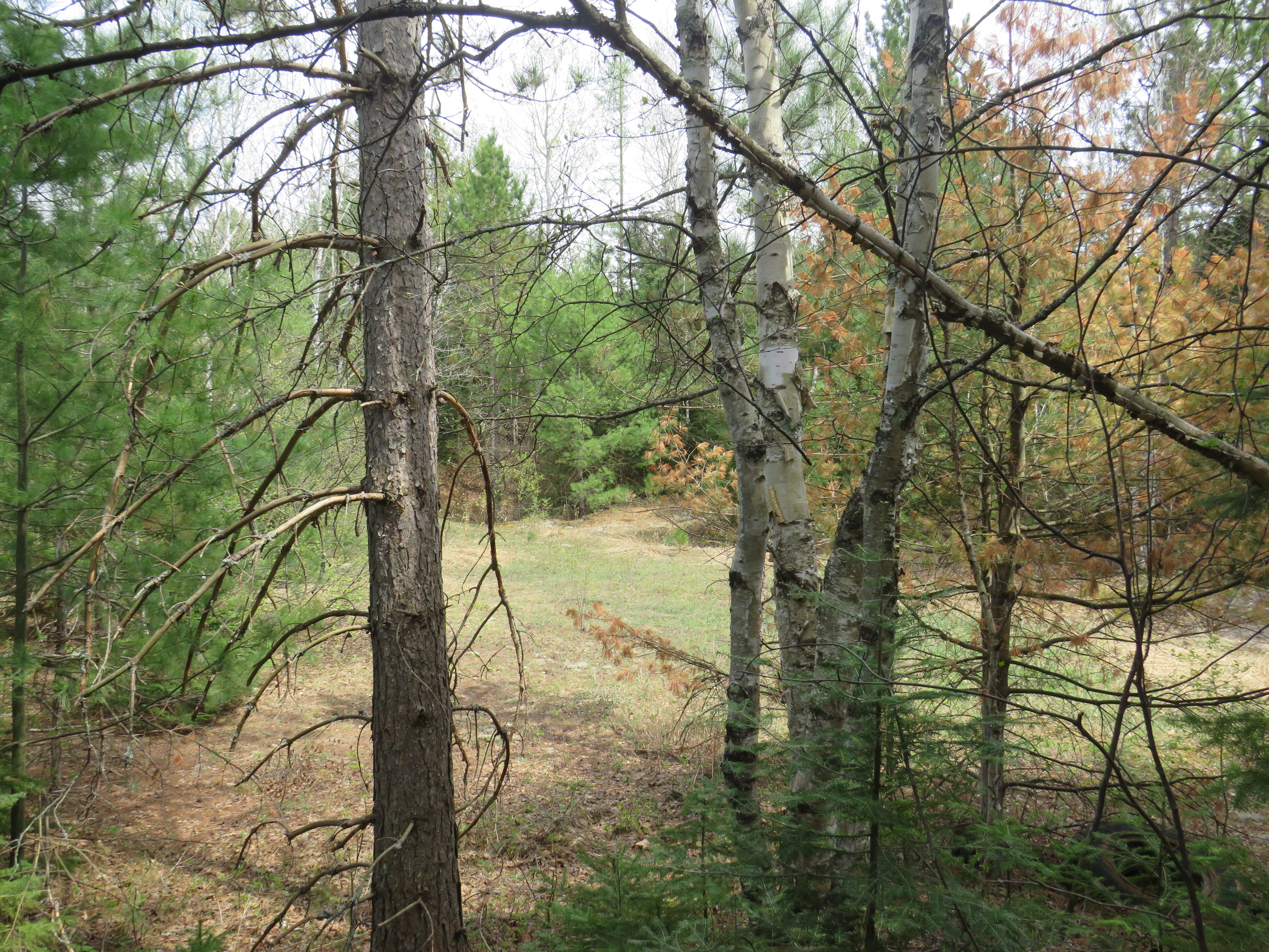 160 Acre Wilderness Retreat 50175391