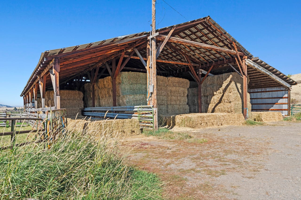 Listing Image 11