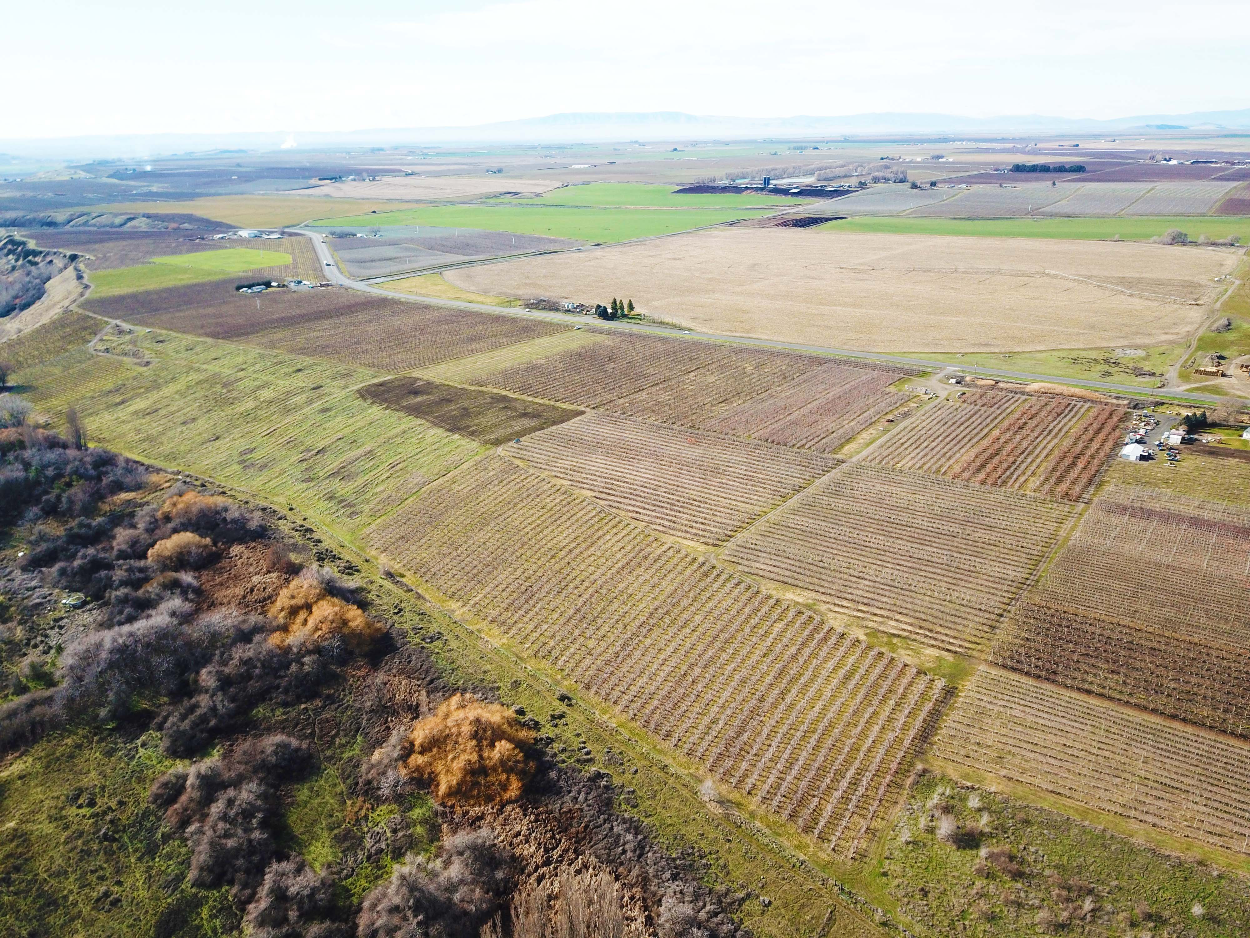 Best Price in County for Productive Orchard