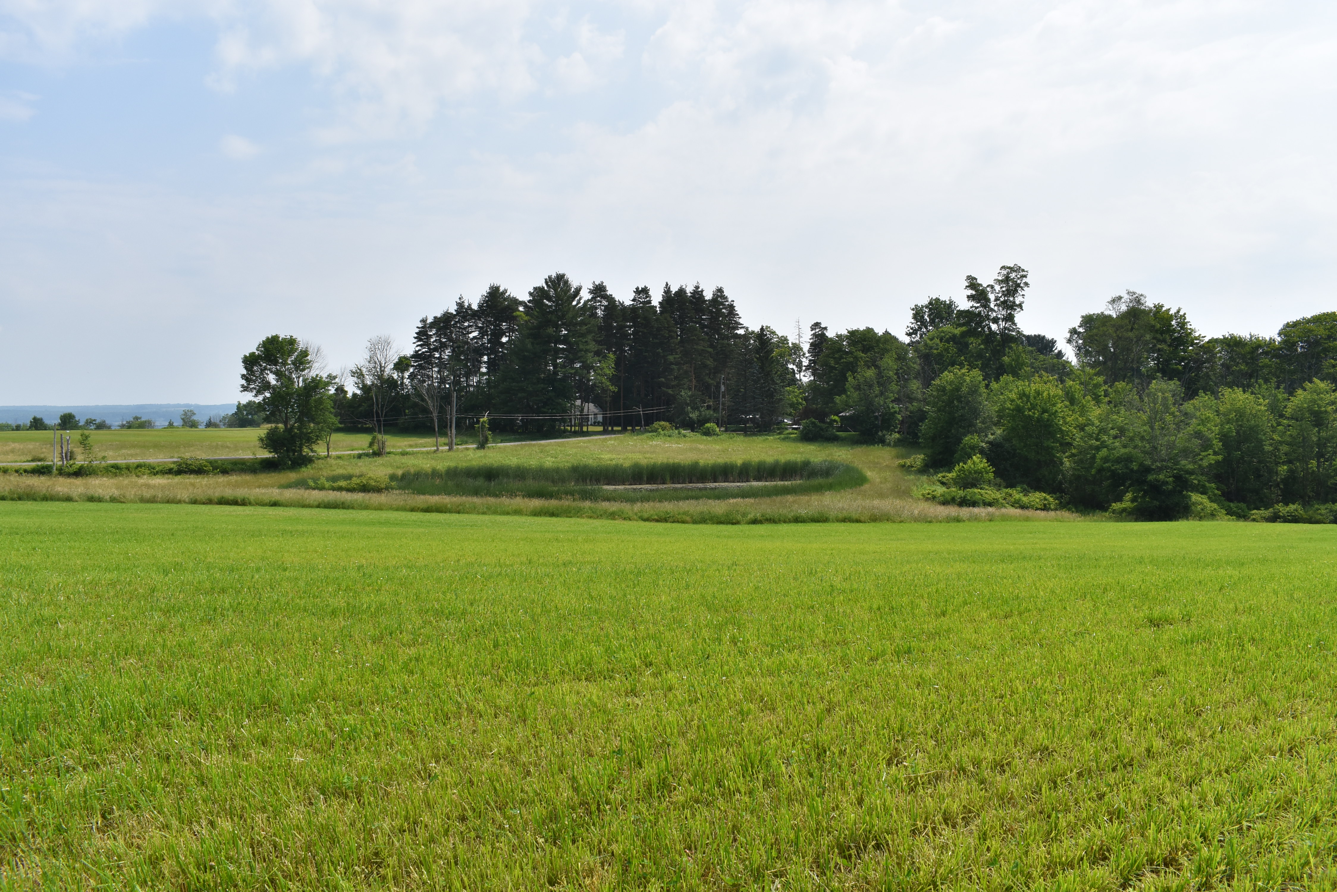 Listing Image 48