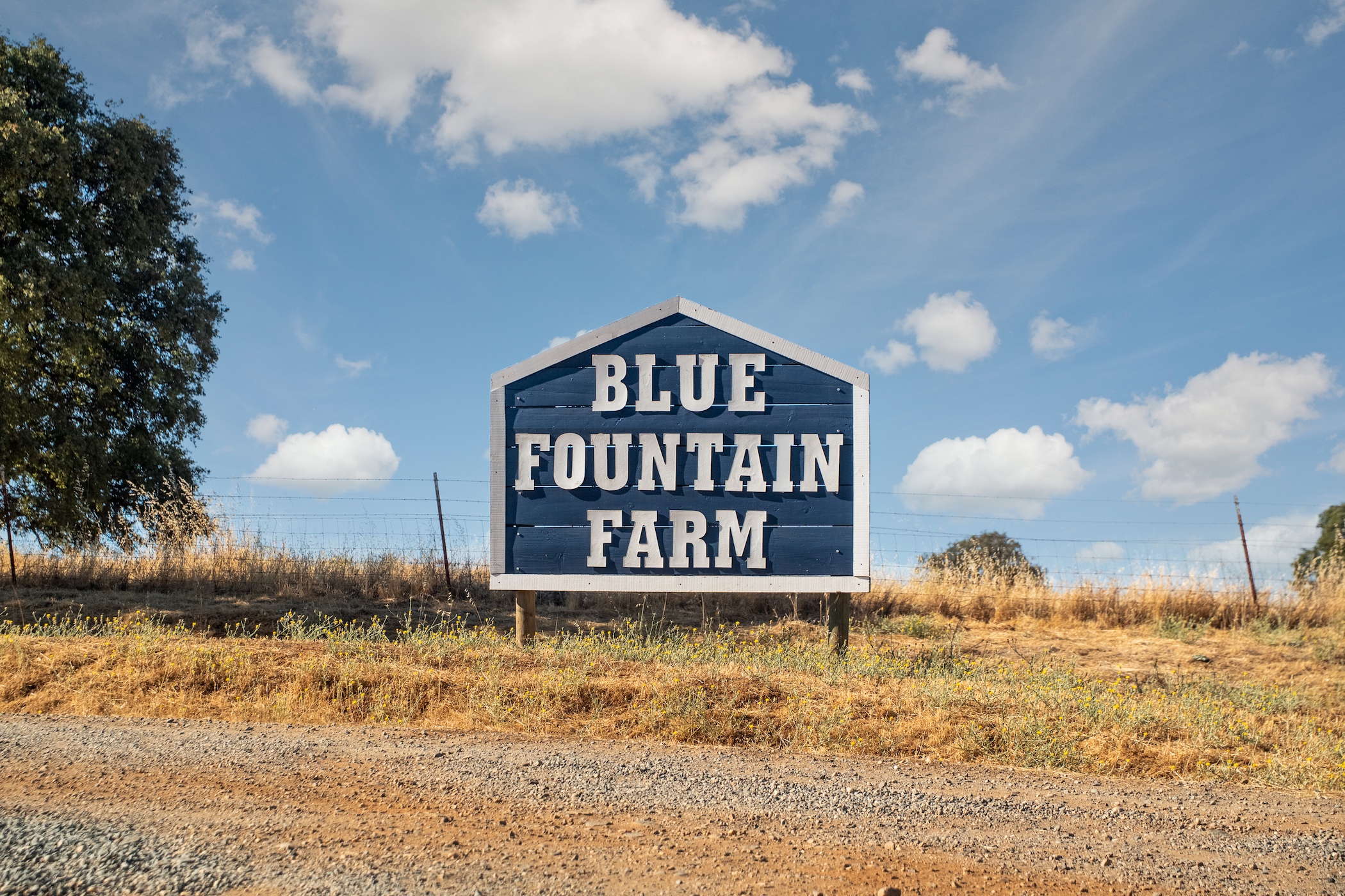 Blue Fountain Farm