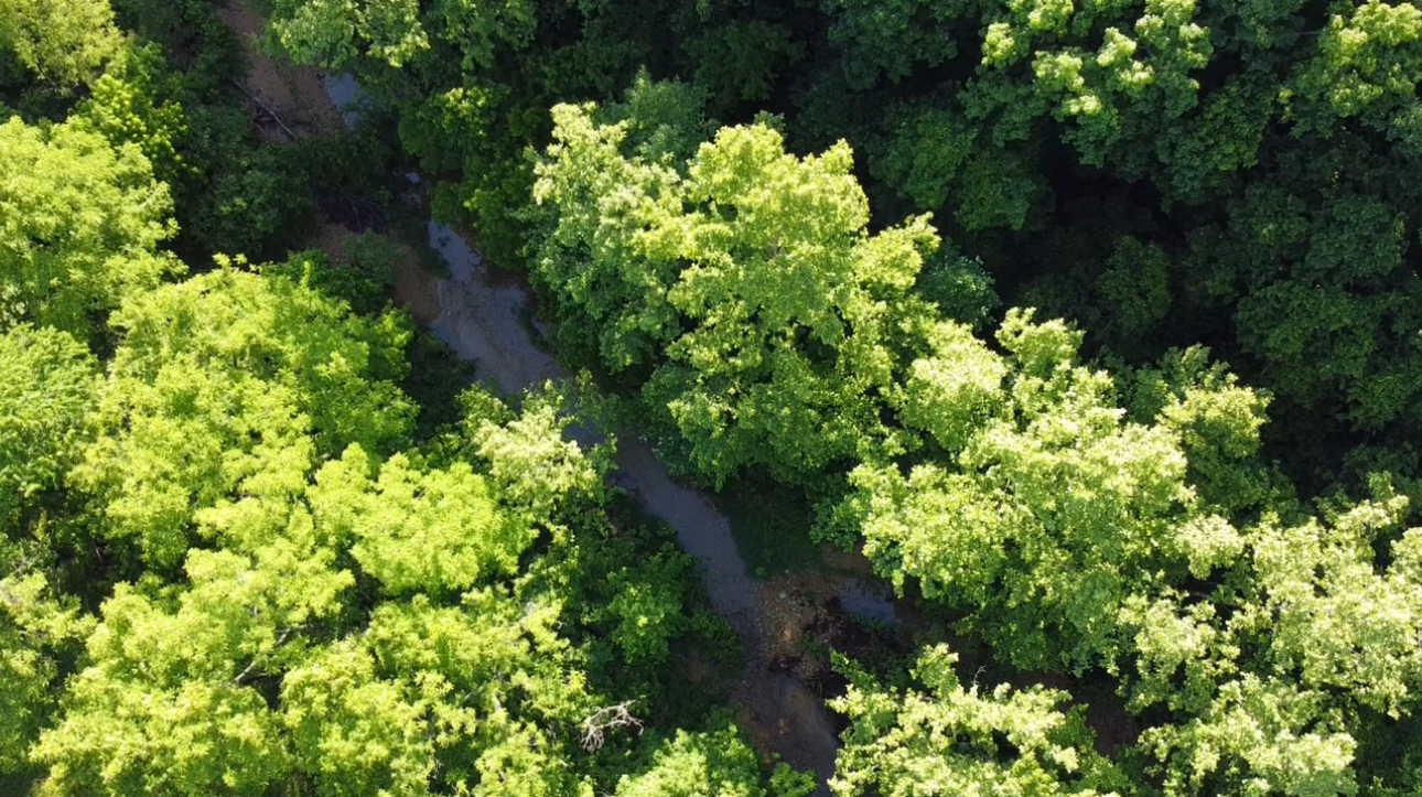 Wash Creek Retreat