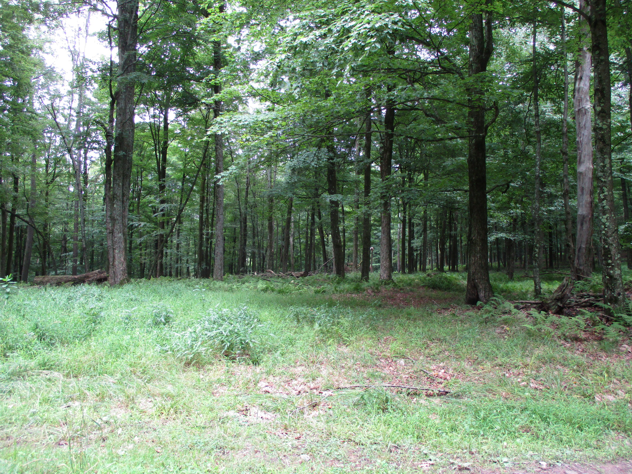 Listing Image 40