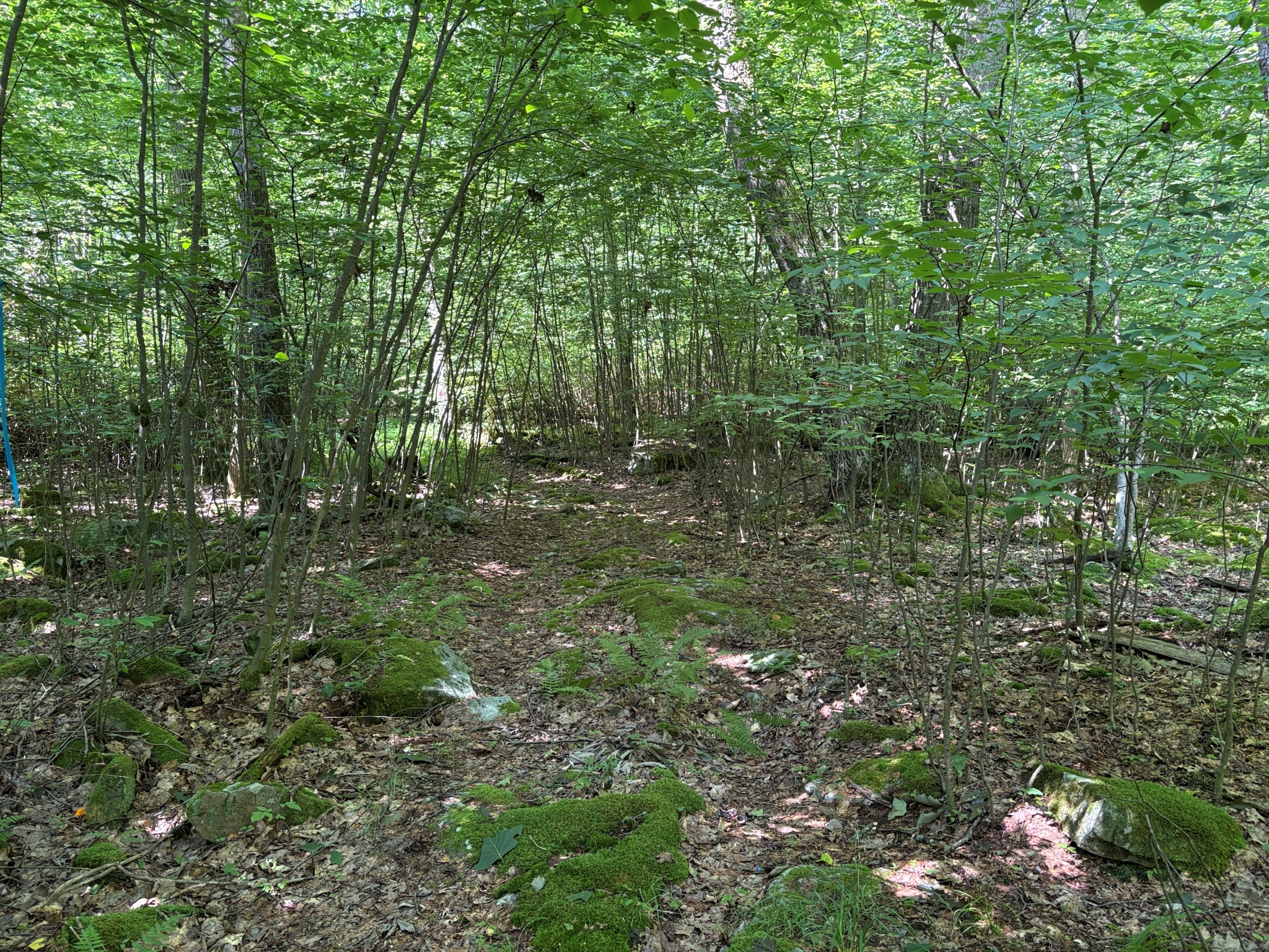 Listing Image 29