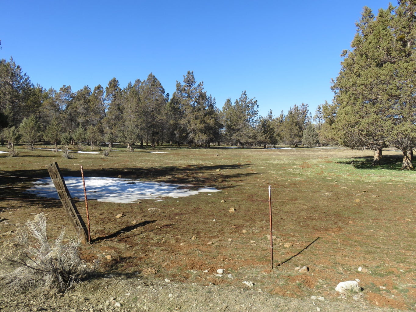 Lennon Lookout Ranch