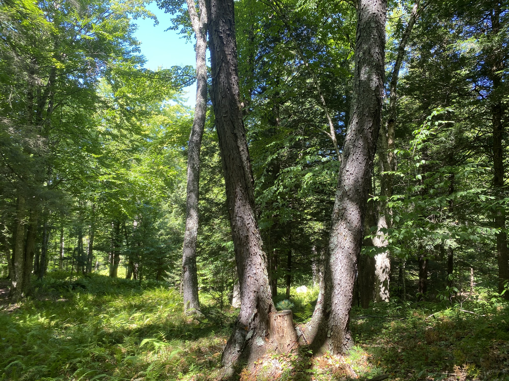 Plumb Brook Country Retreat