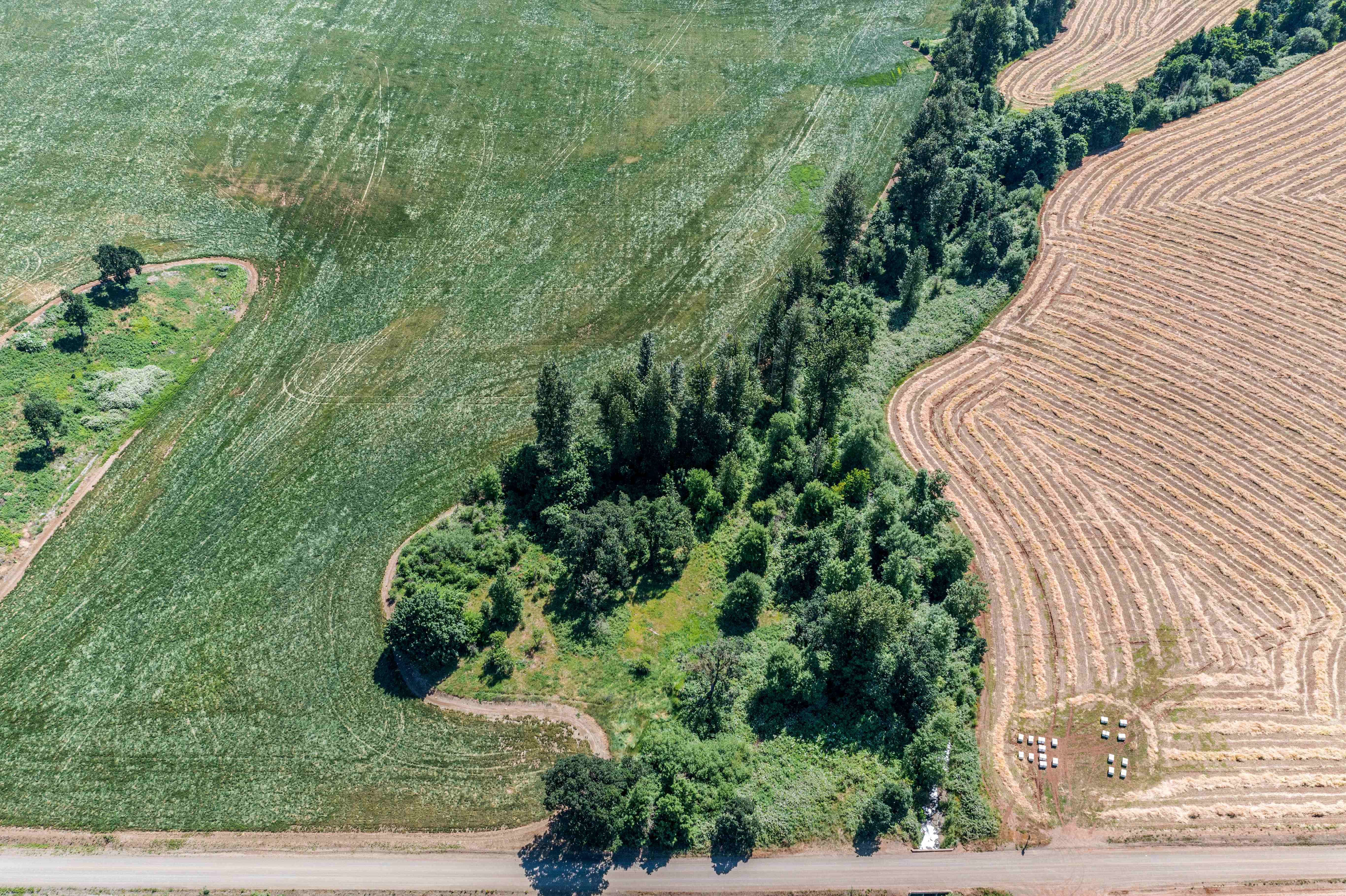 Sublimity 152 — Productive Willamette Valley Farm for Sale with Creek Frontage and Homesite Potential