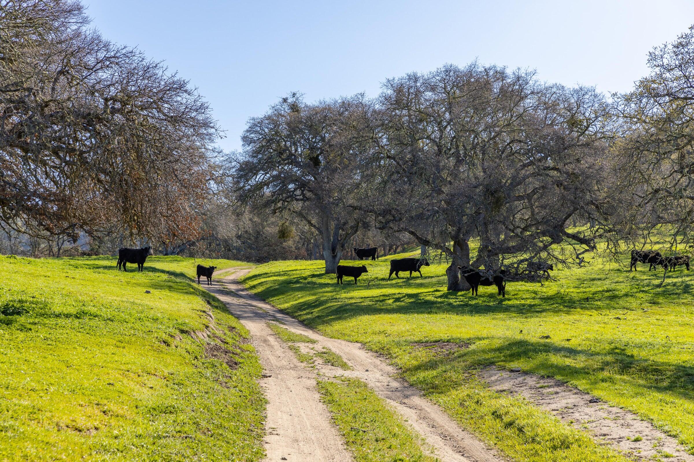 Palo Escrito Ranch