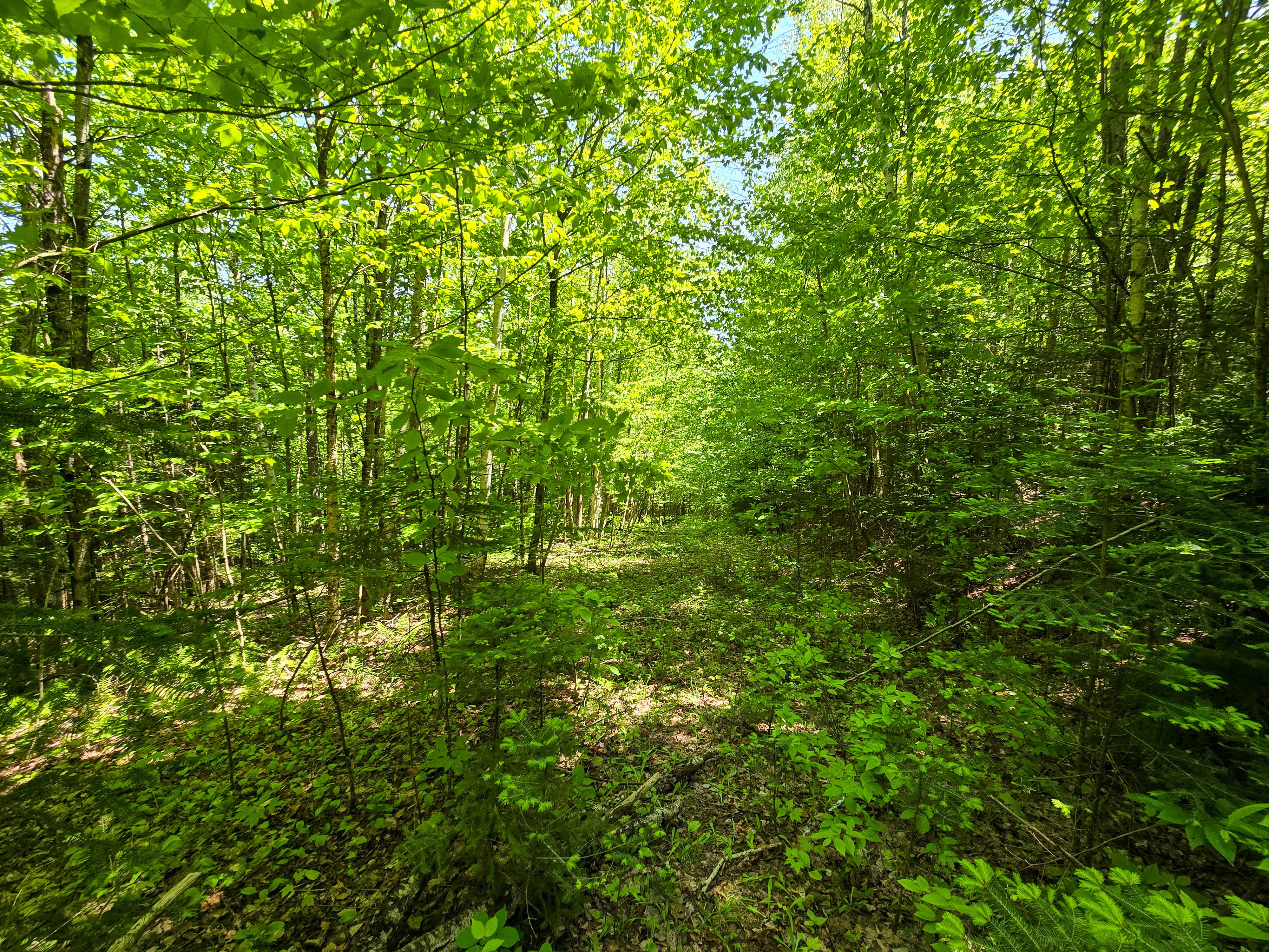 150 Spur Rd - Bloomfield