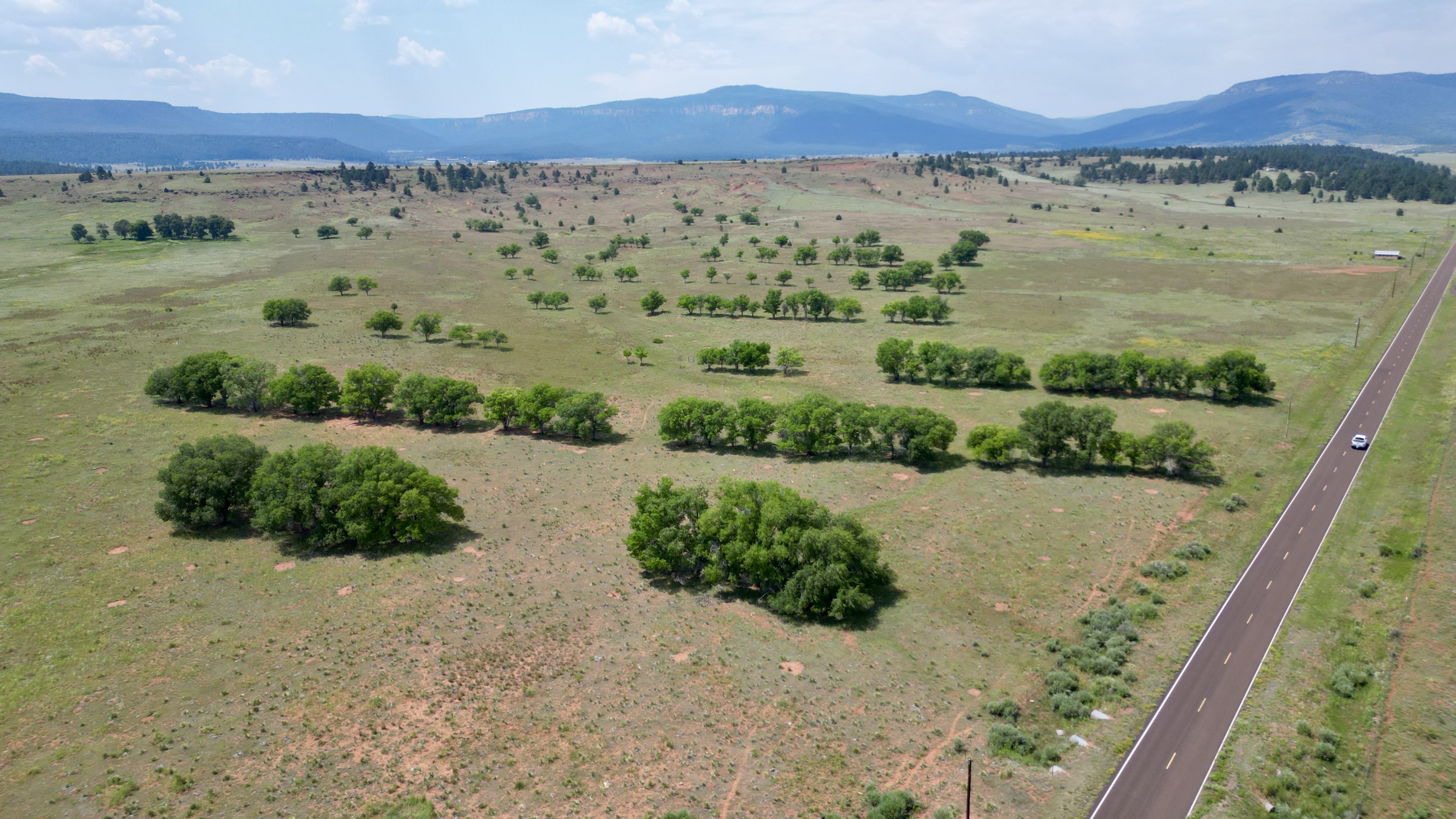 OLC Ranch