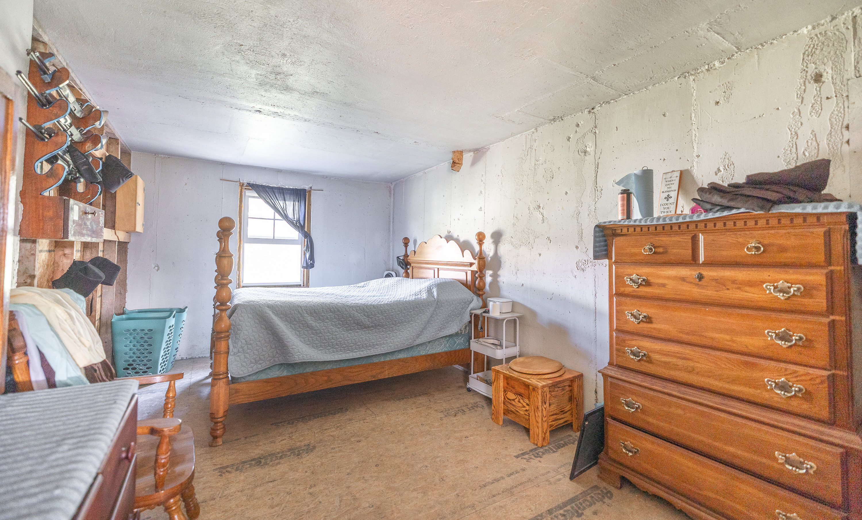 Cage Free Chicken Farm