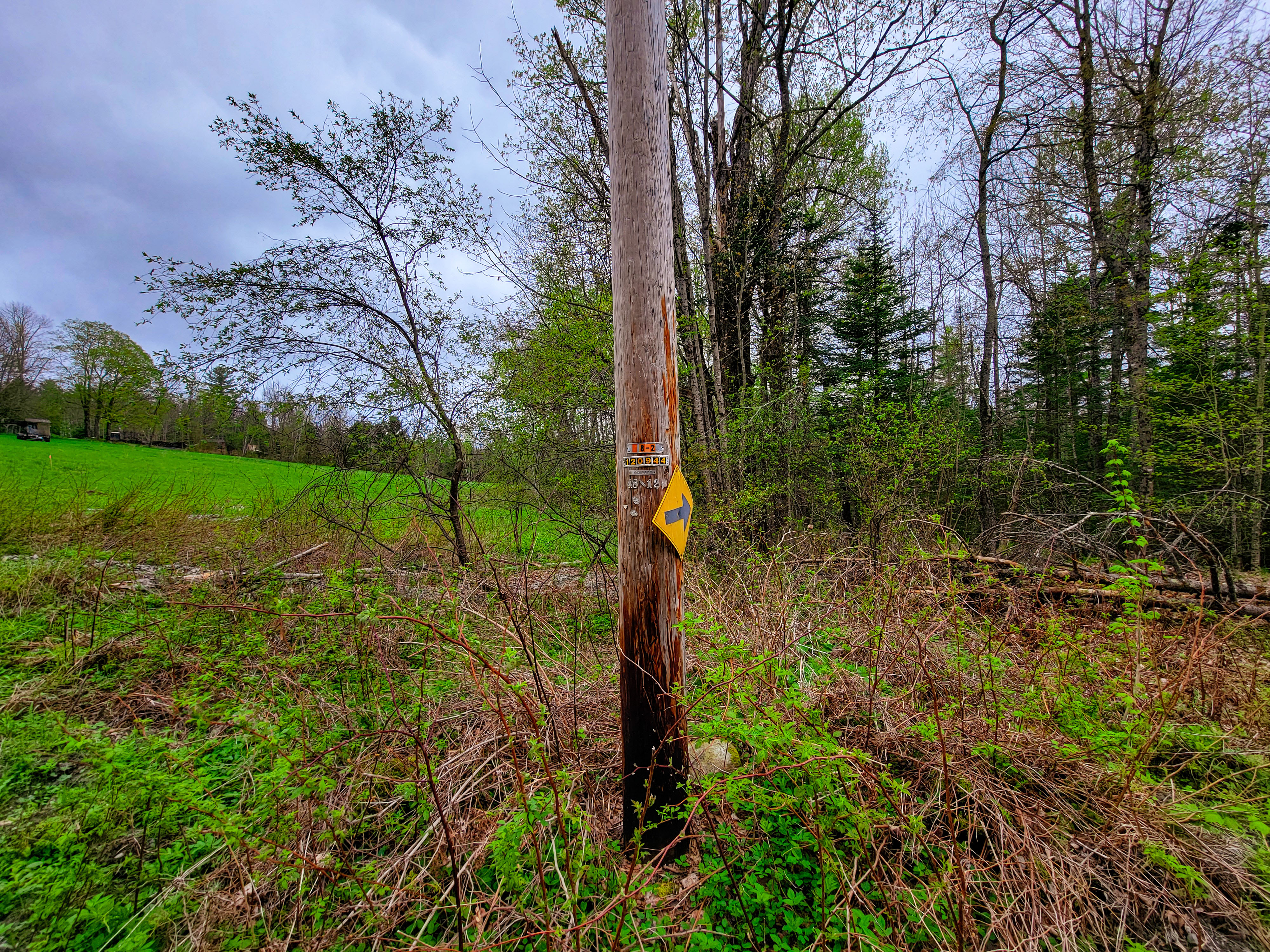855 Campbell Rd - Waterford