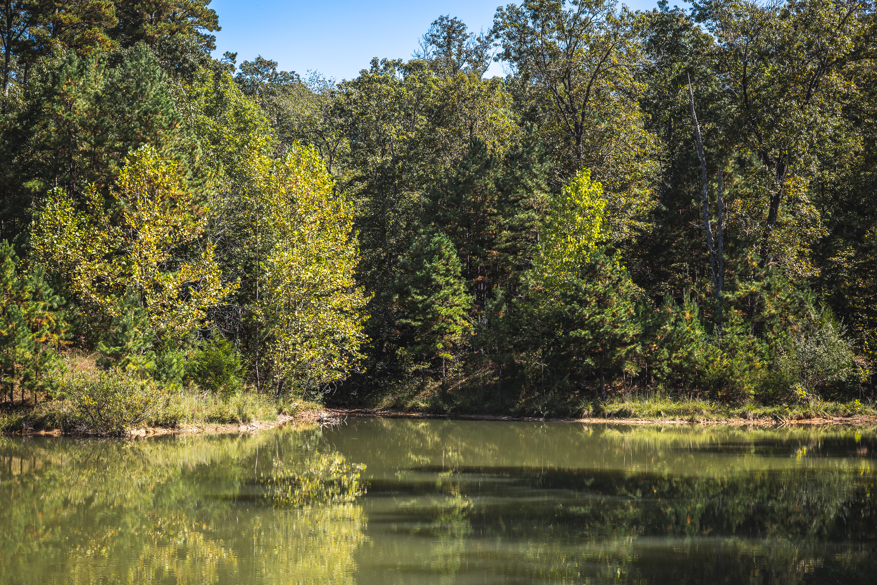 Ashley Creek Ranch 329